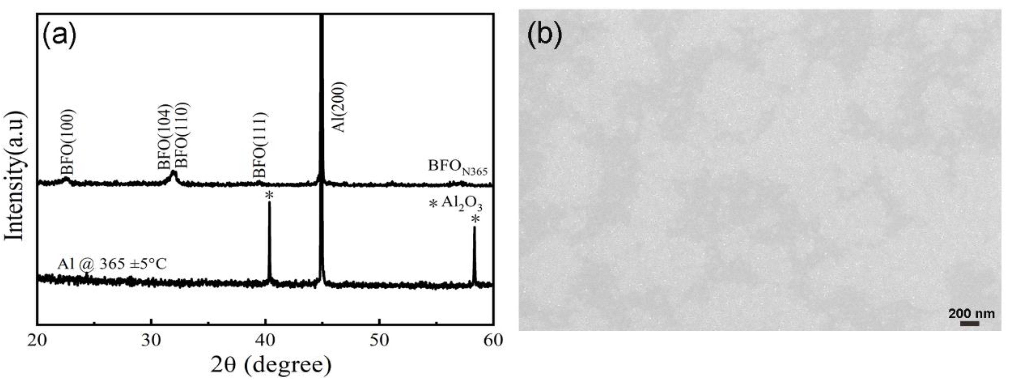 Preprints 114917 g006