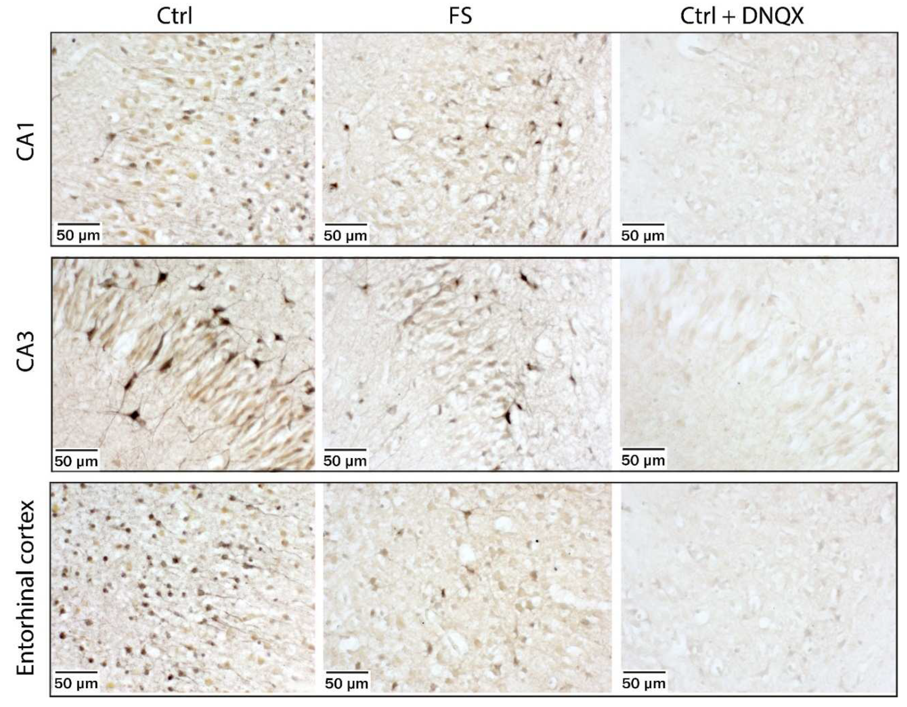 Preprints 79070 g004