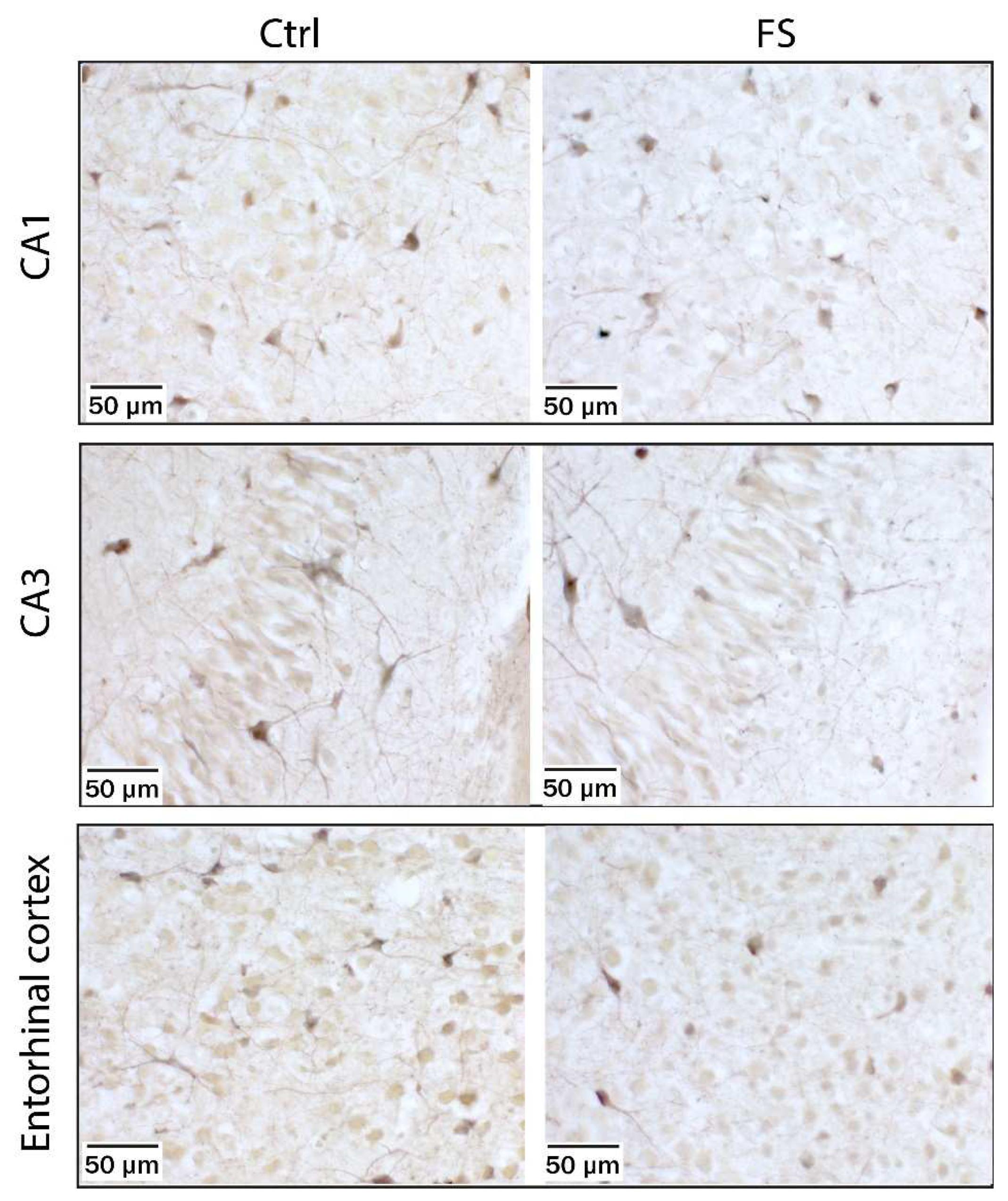 Preprints 79070 g005