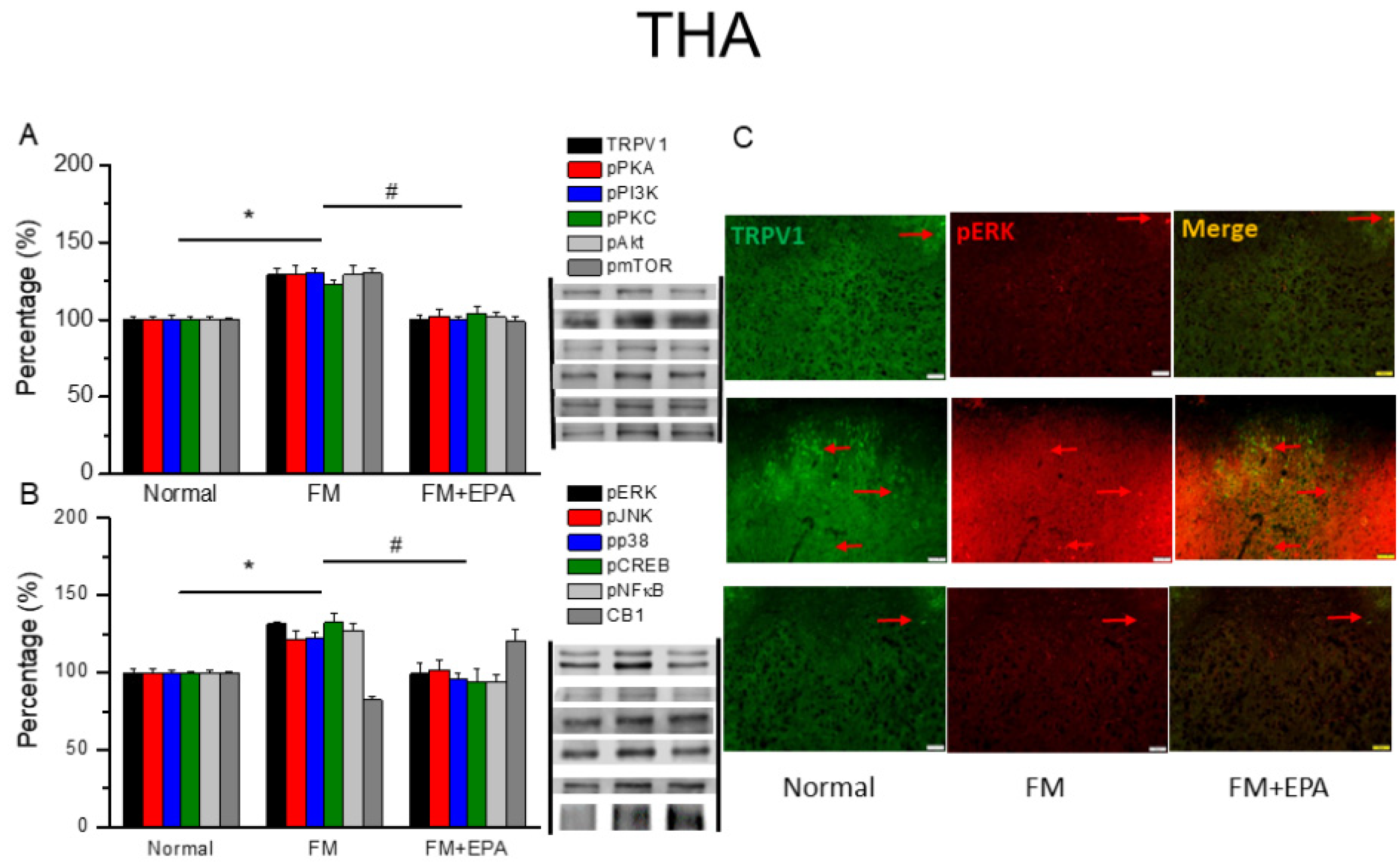 Preprints 97273 g002