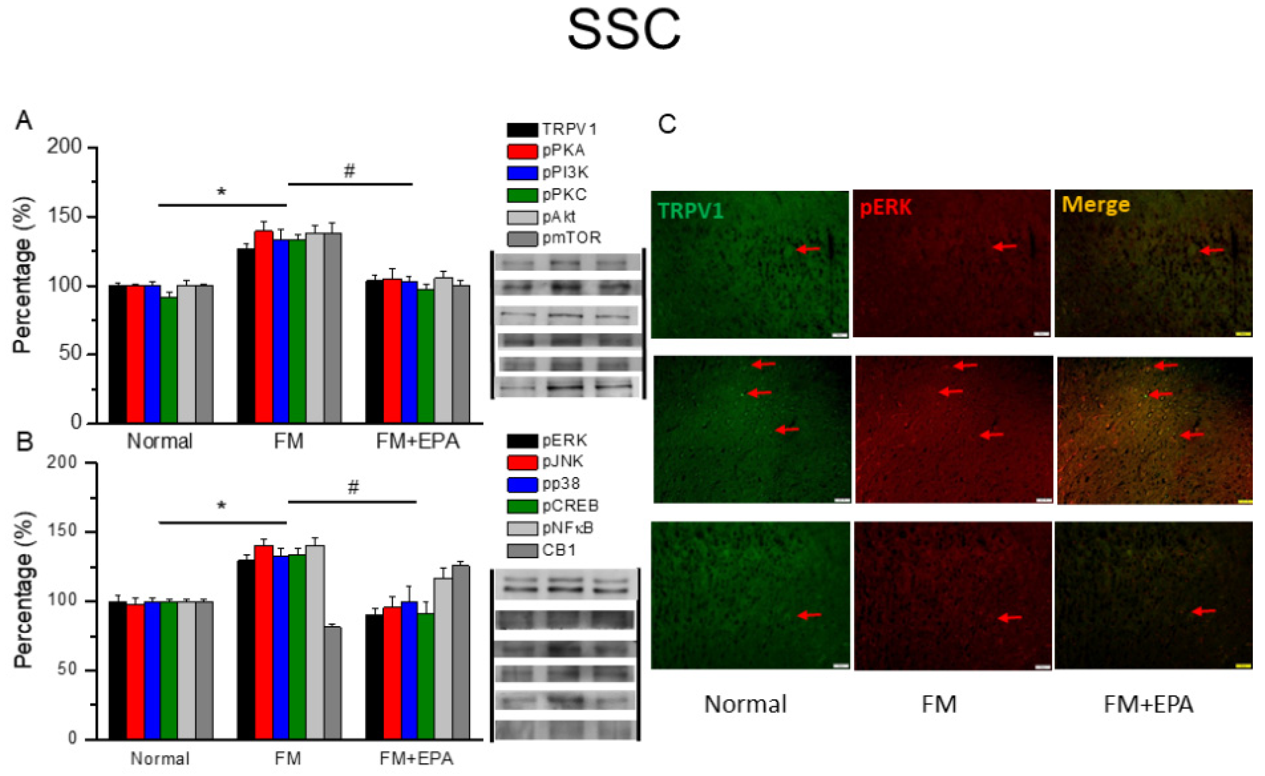 Preprints 97273 g003