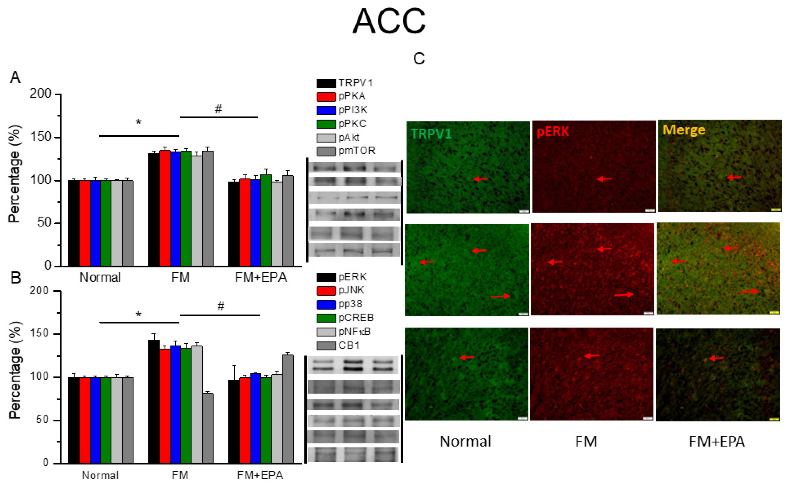 Preprints 97273 g004