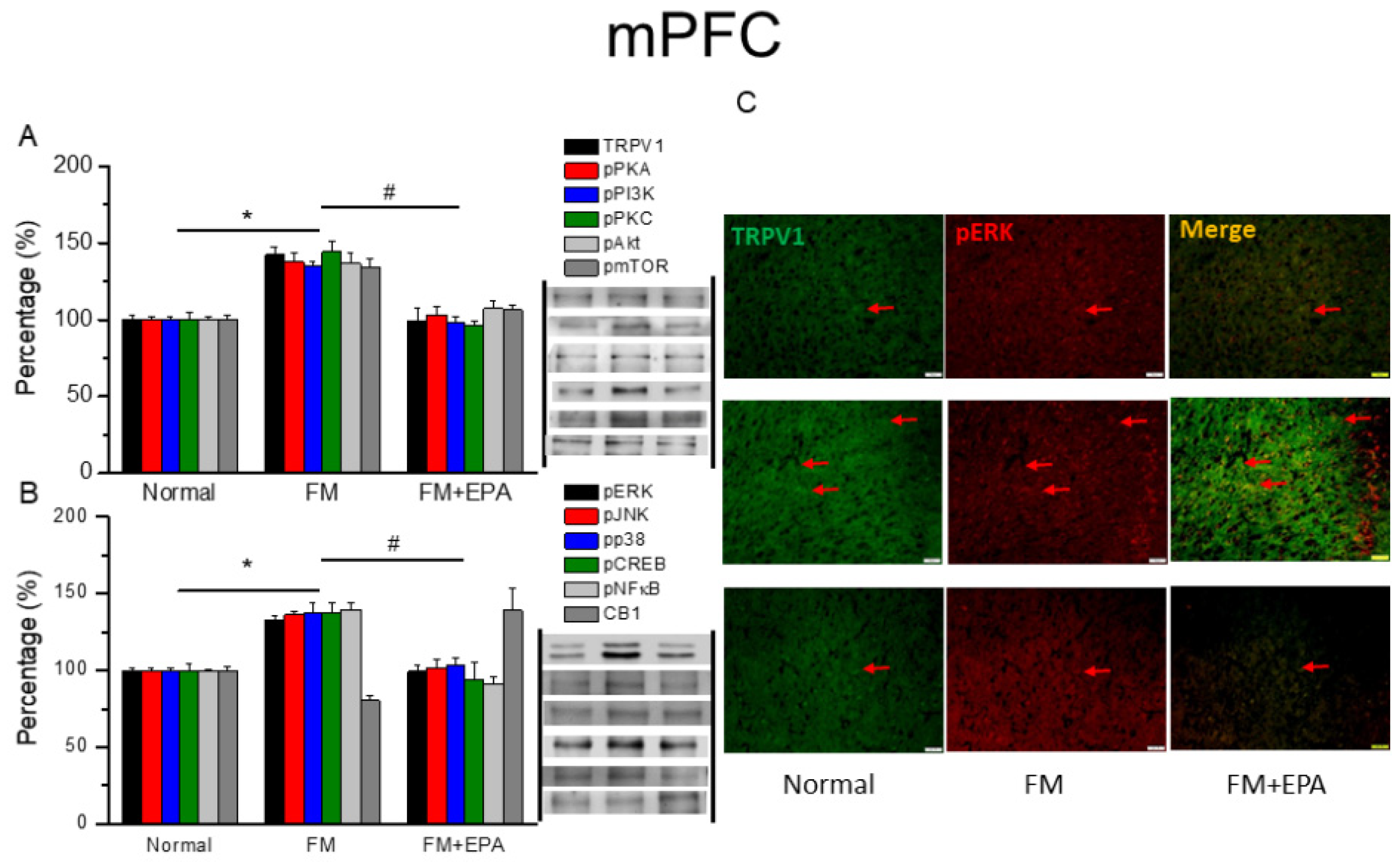 Preprints 97273 g005