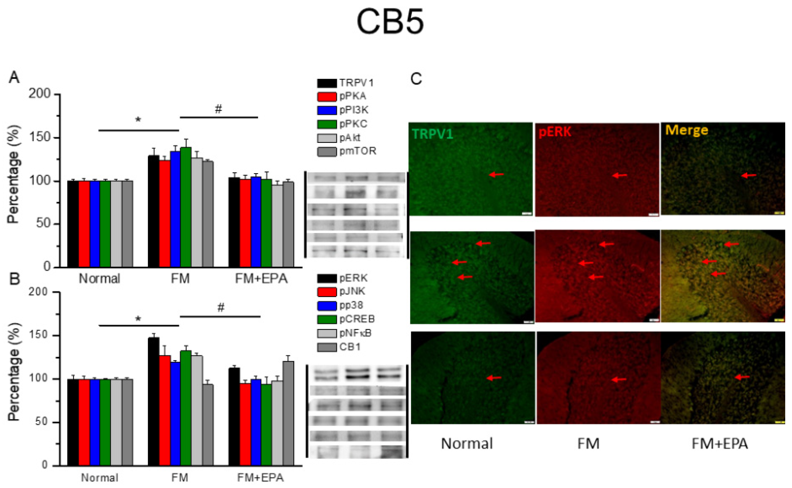 Preprints 97273 g006