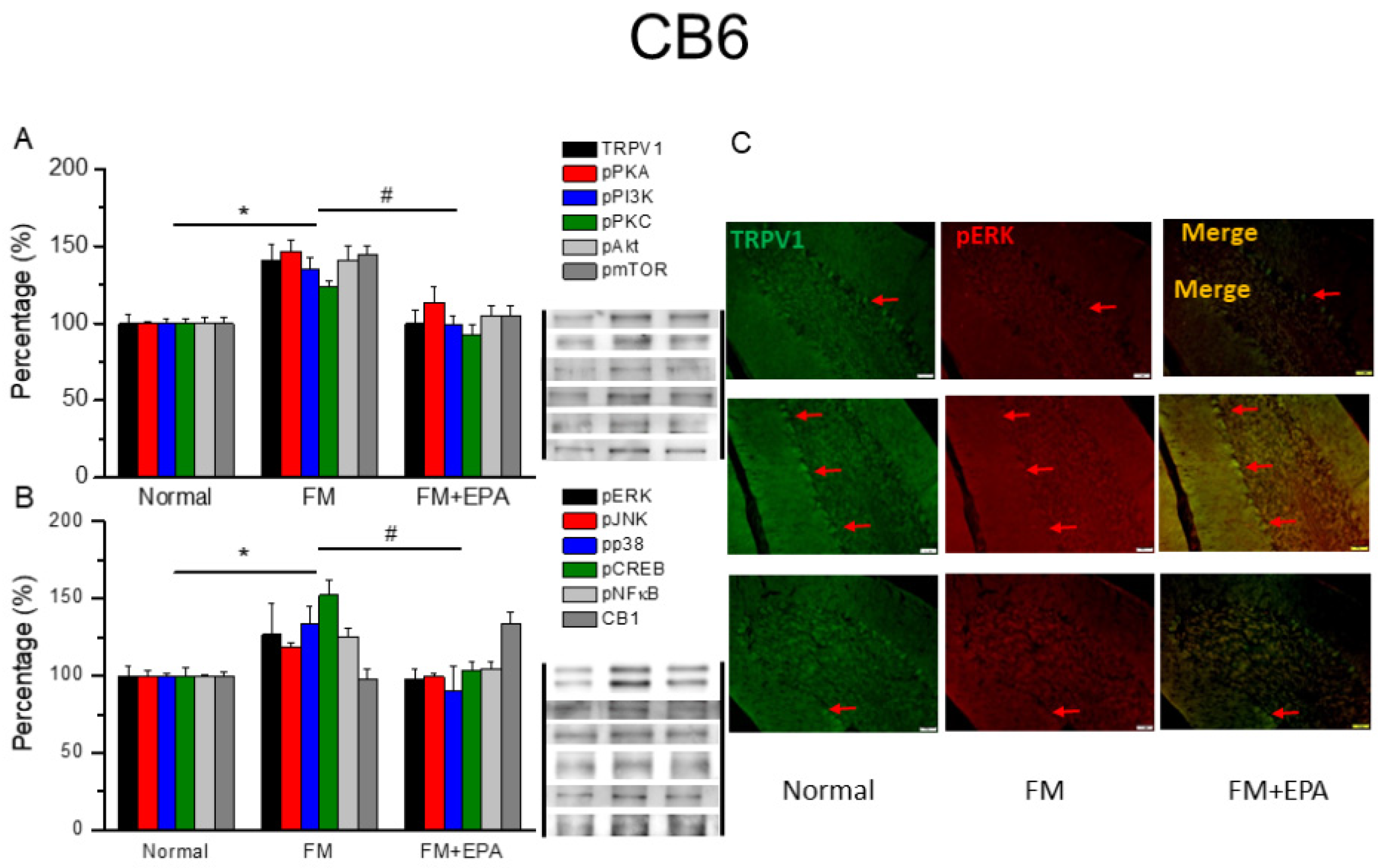 Preprints 97273 g007