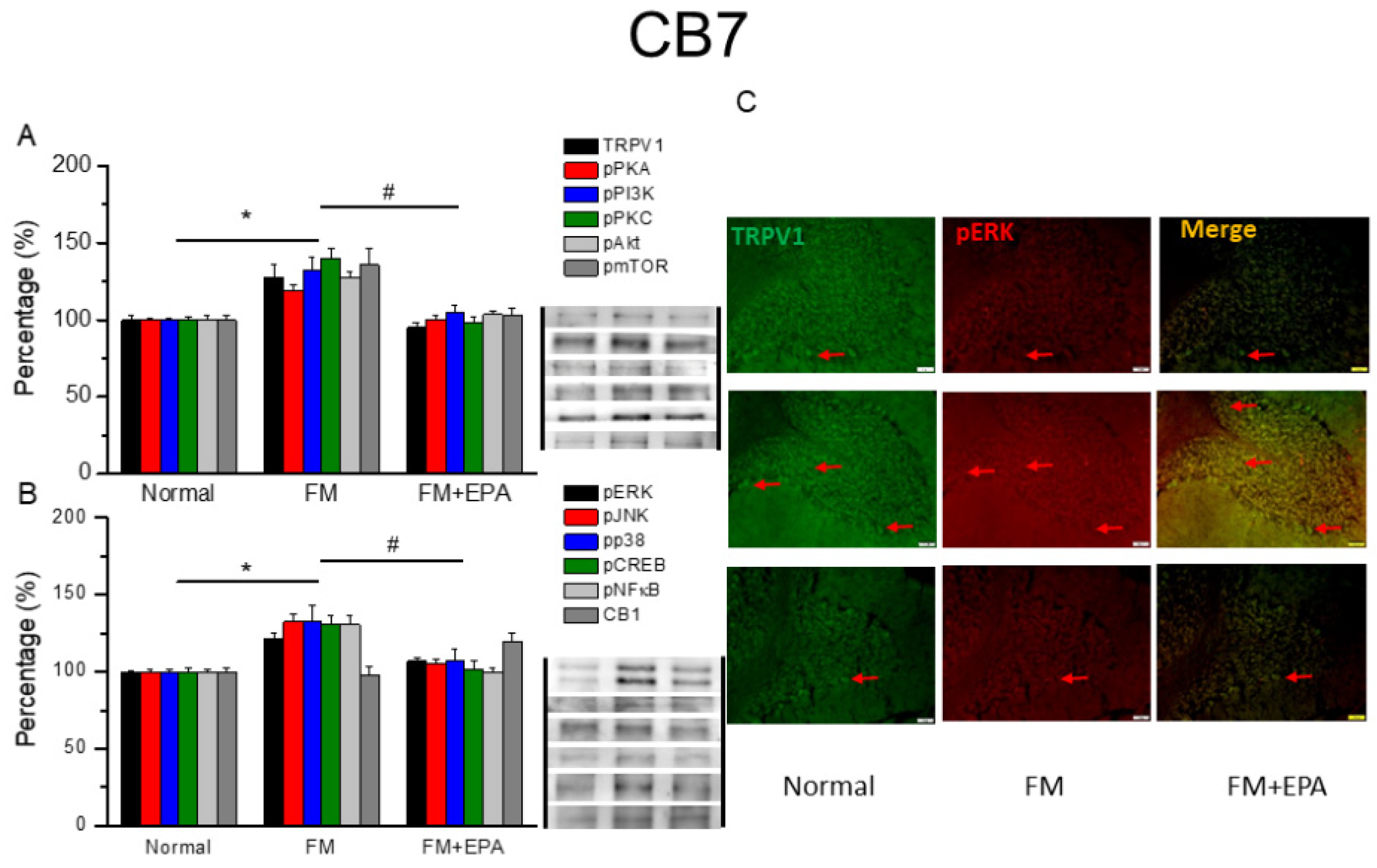 Preprints 97273 g008