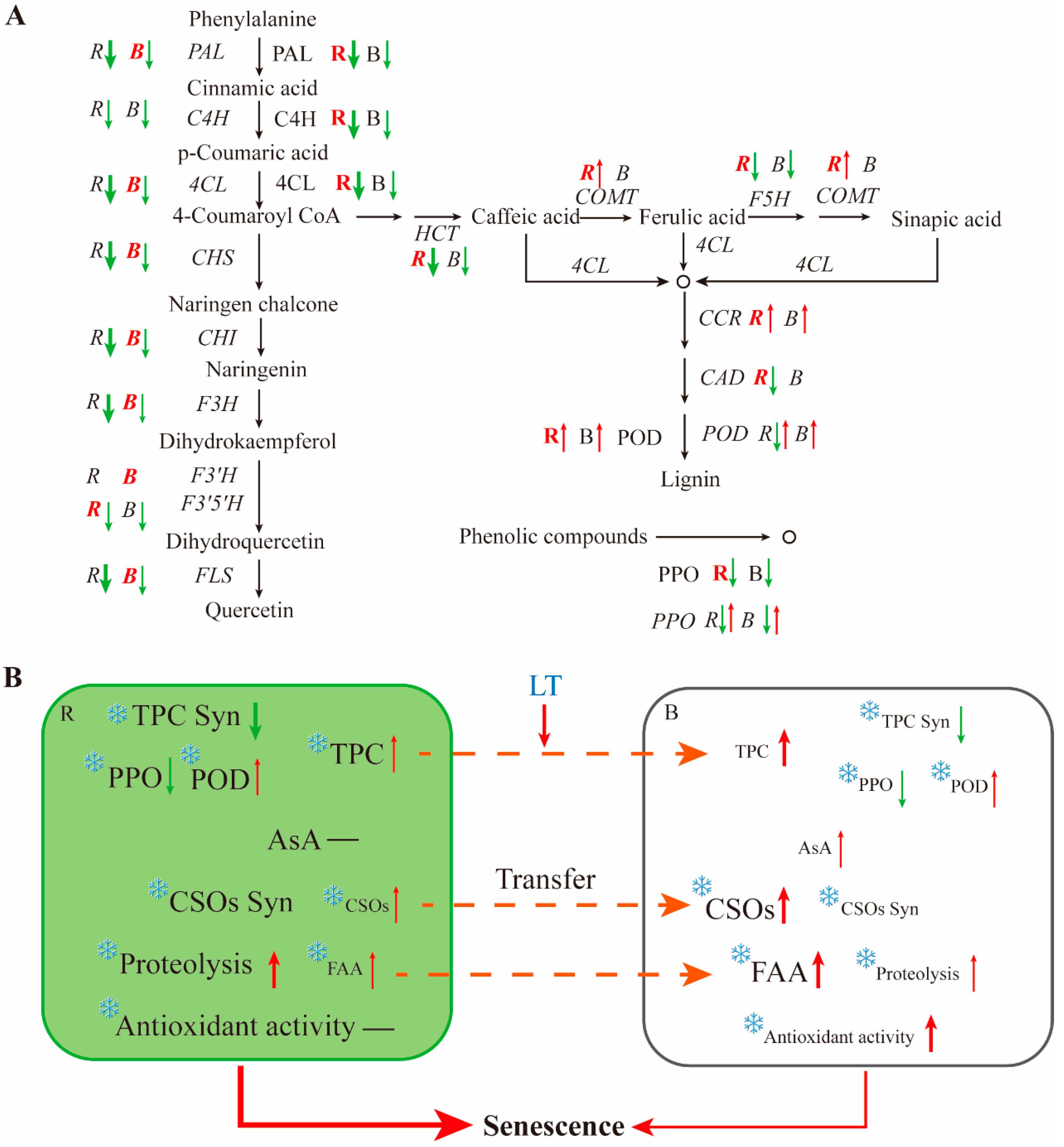 Preprints 97301 g008