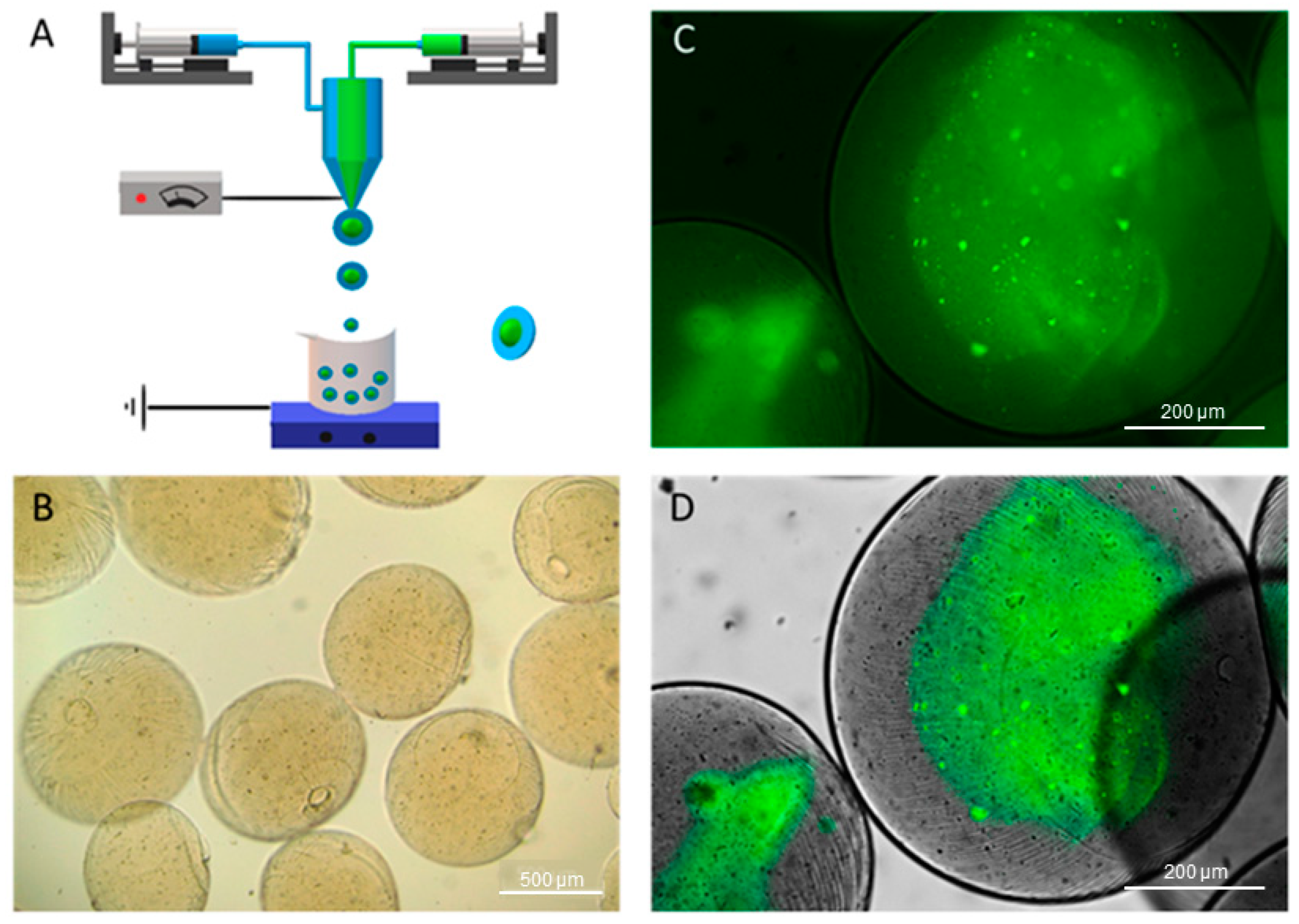 Preprints 94673 g002