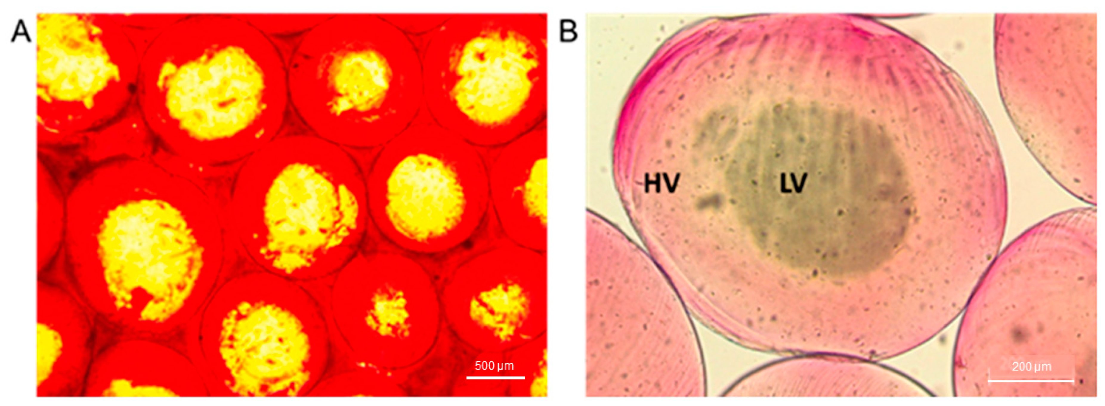 Preprints 94673 g003