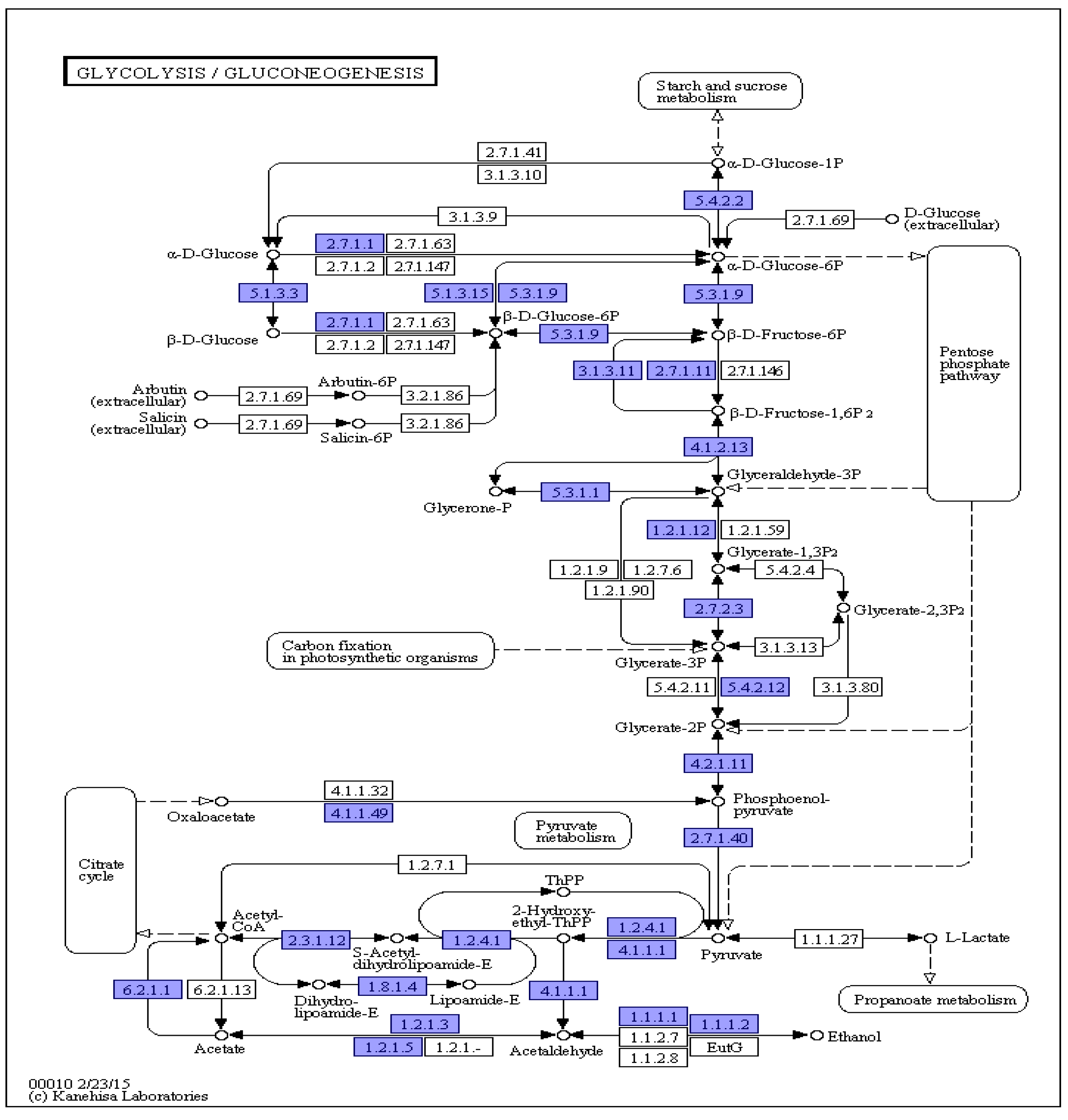 Preprints 119160 g003