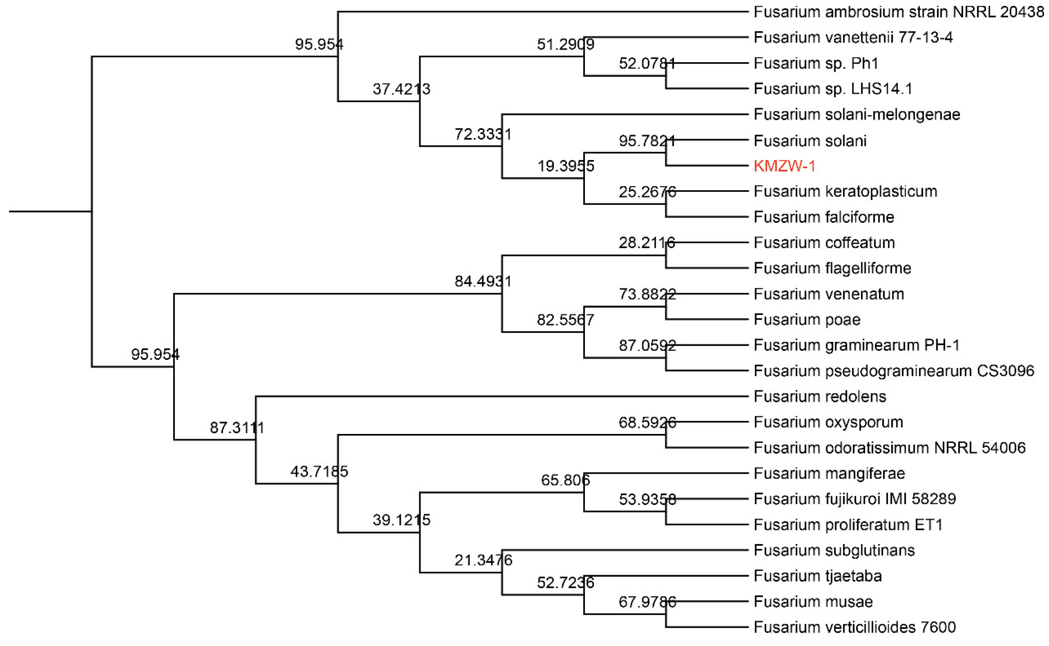 Preprints 119160 g006