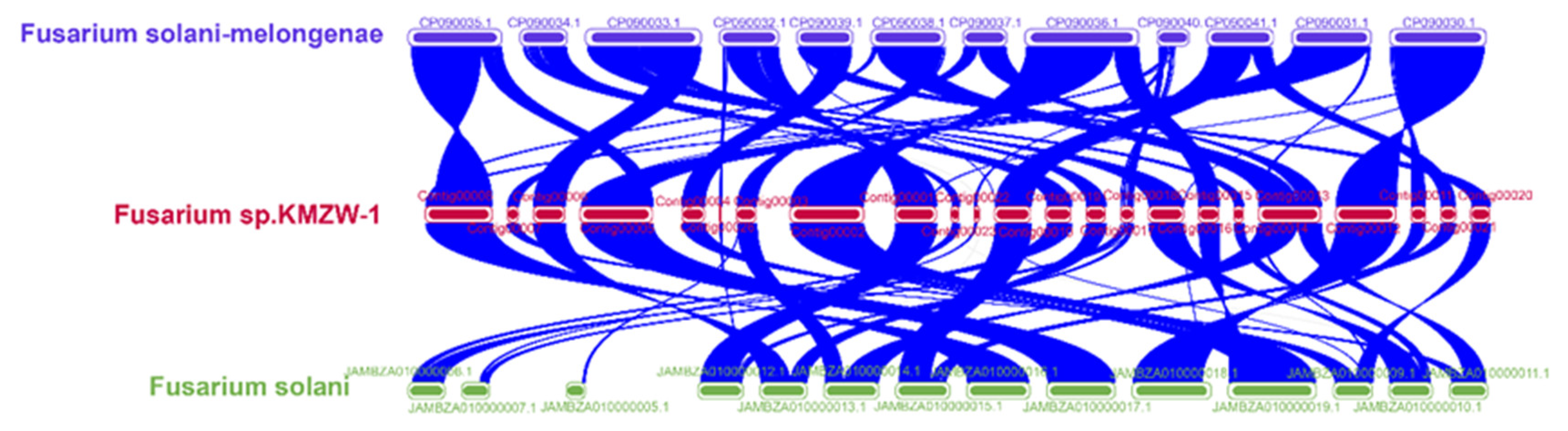 Preprints 119160 g008