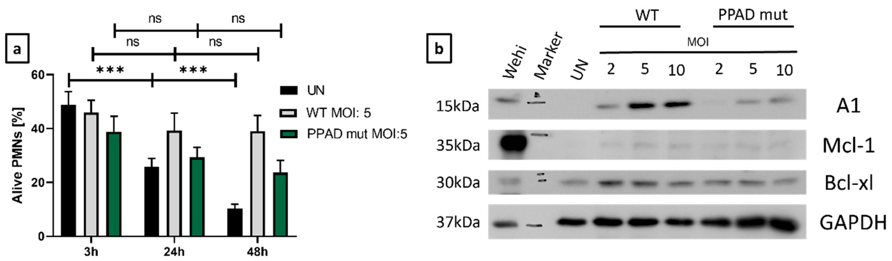 Preprints 78661 g003