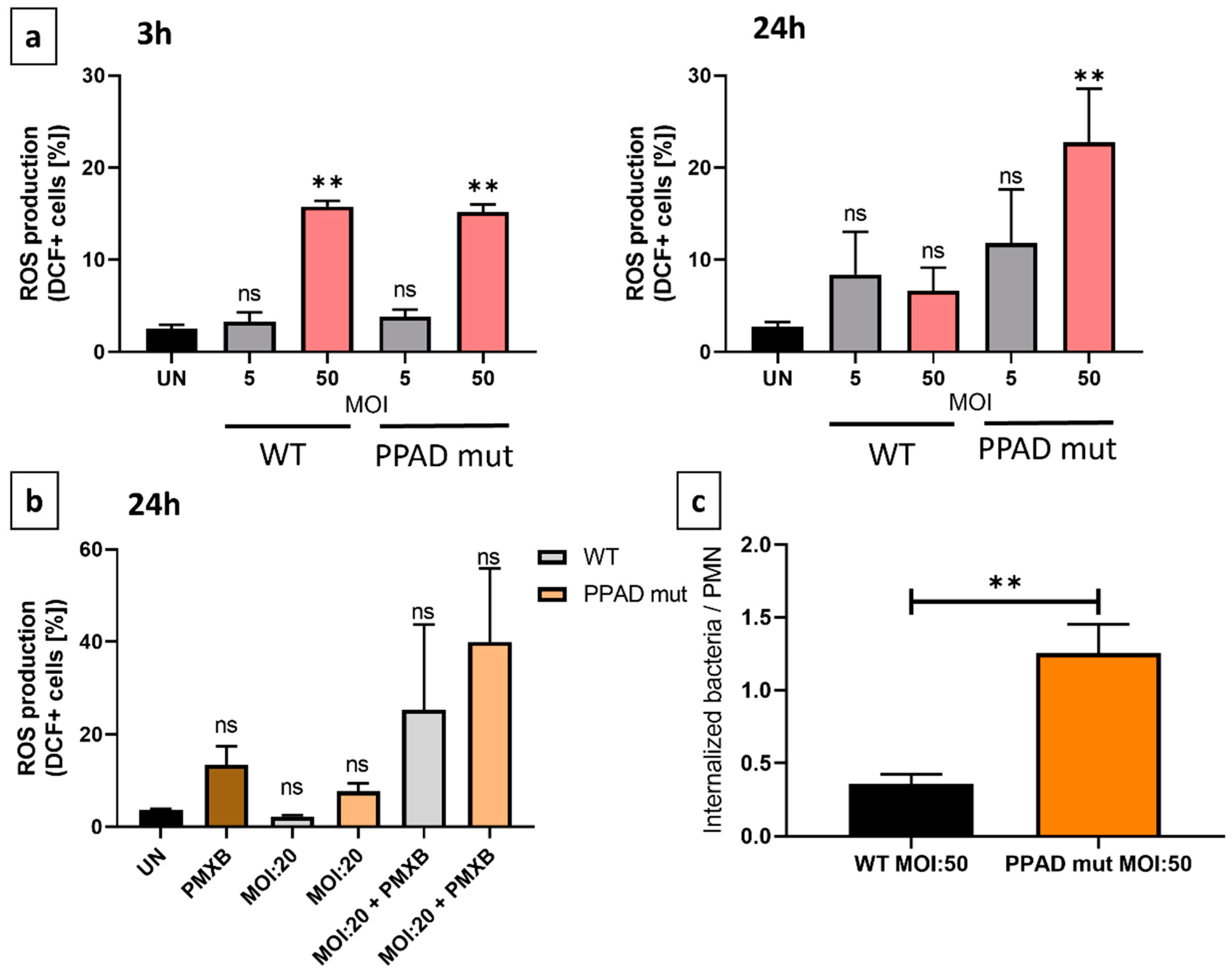 Preprints 78661 g005