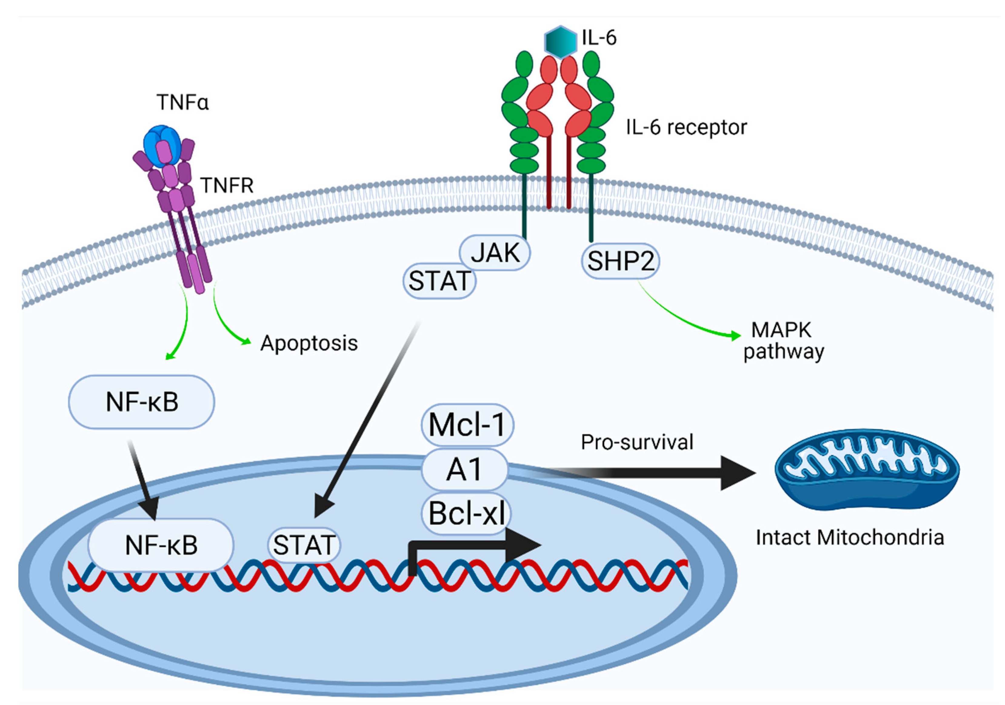 Preprints 78661 g006