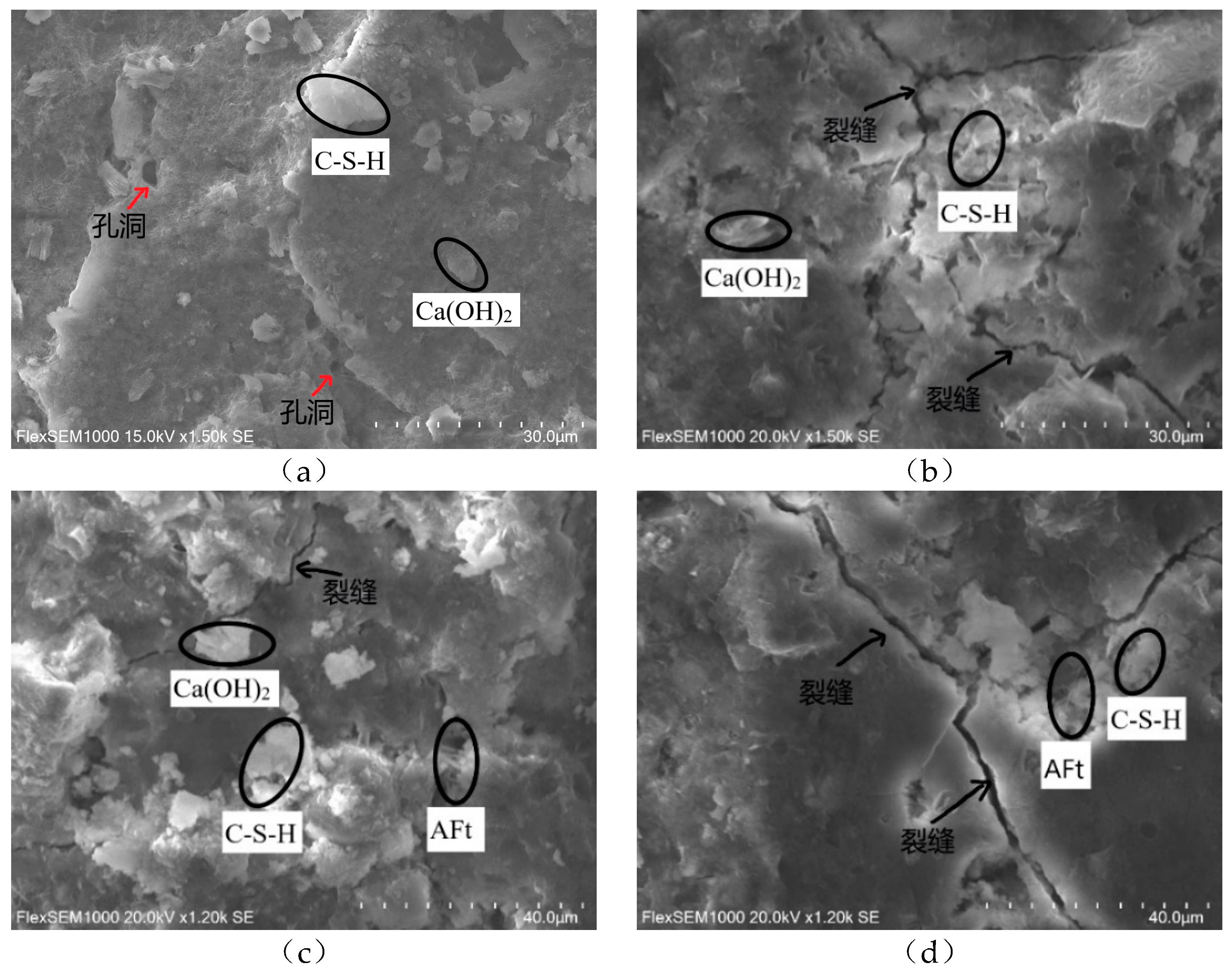 Preprints 76532 g010a