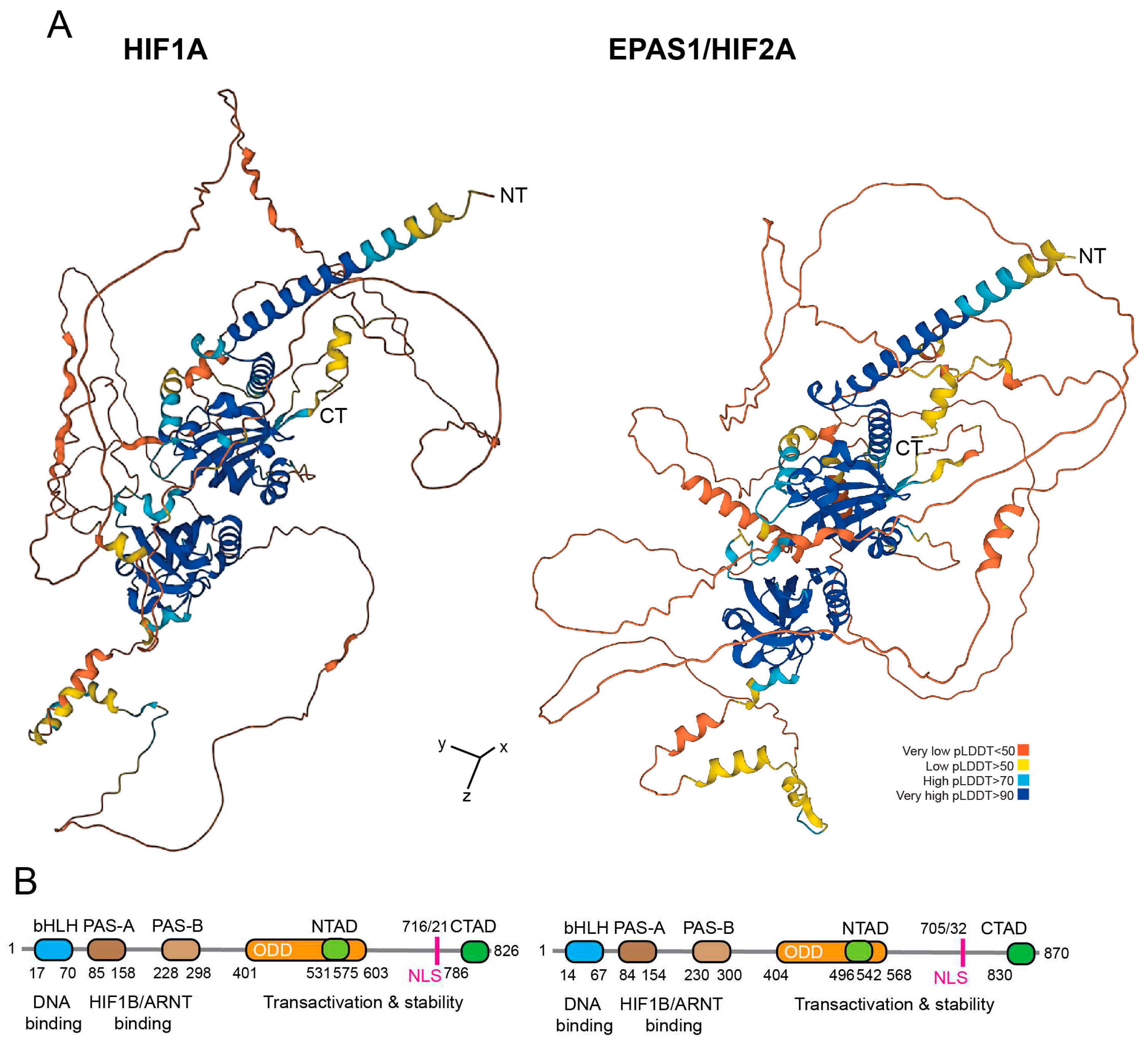 Preprints 92480 g001