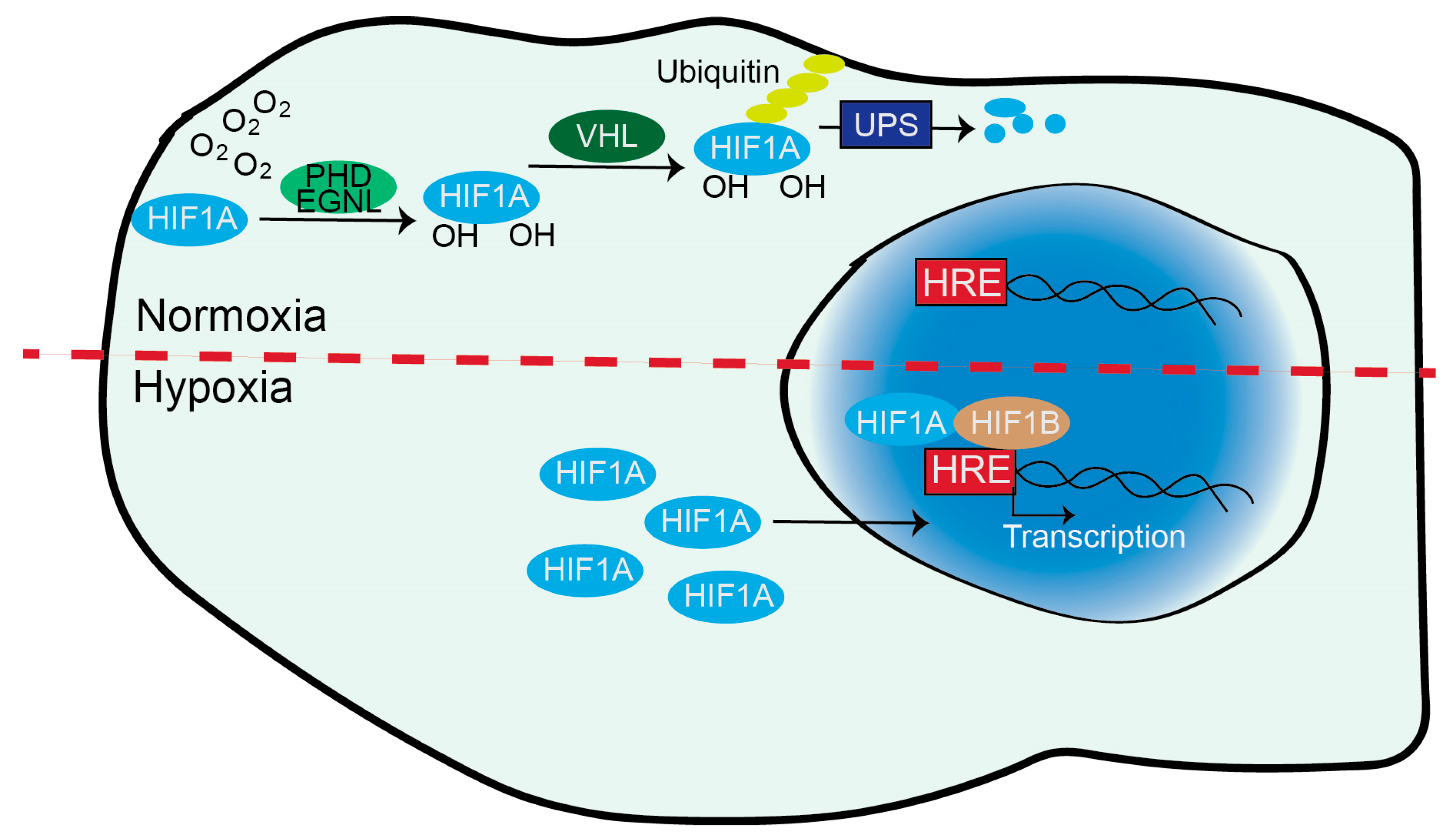 Preprints 92480 g002