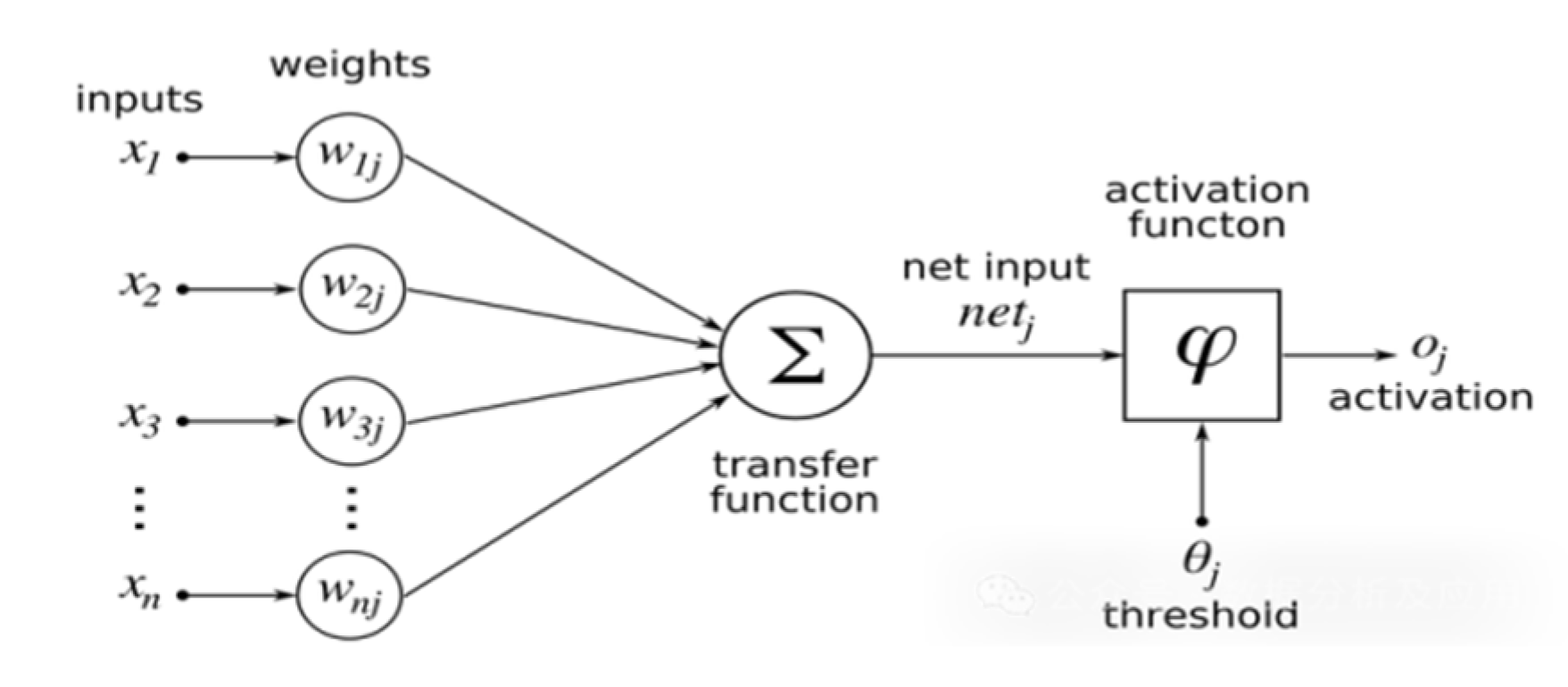 Preprints 110497 g001