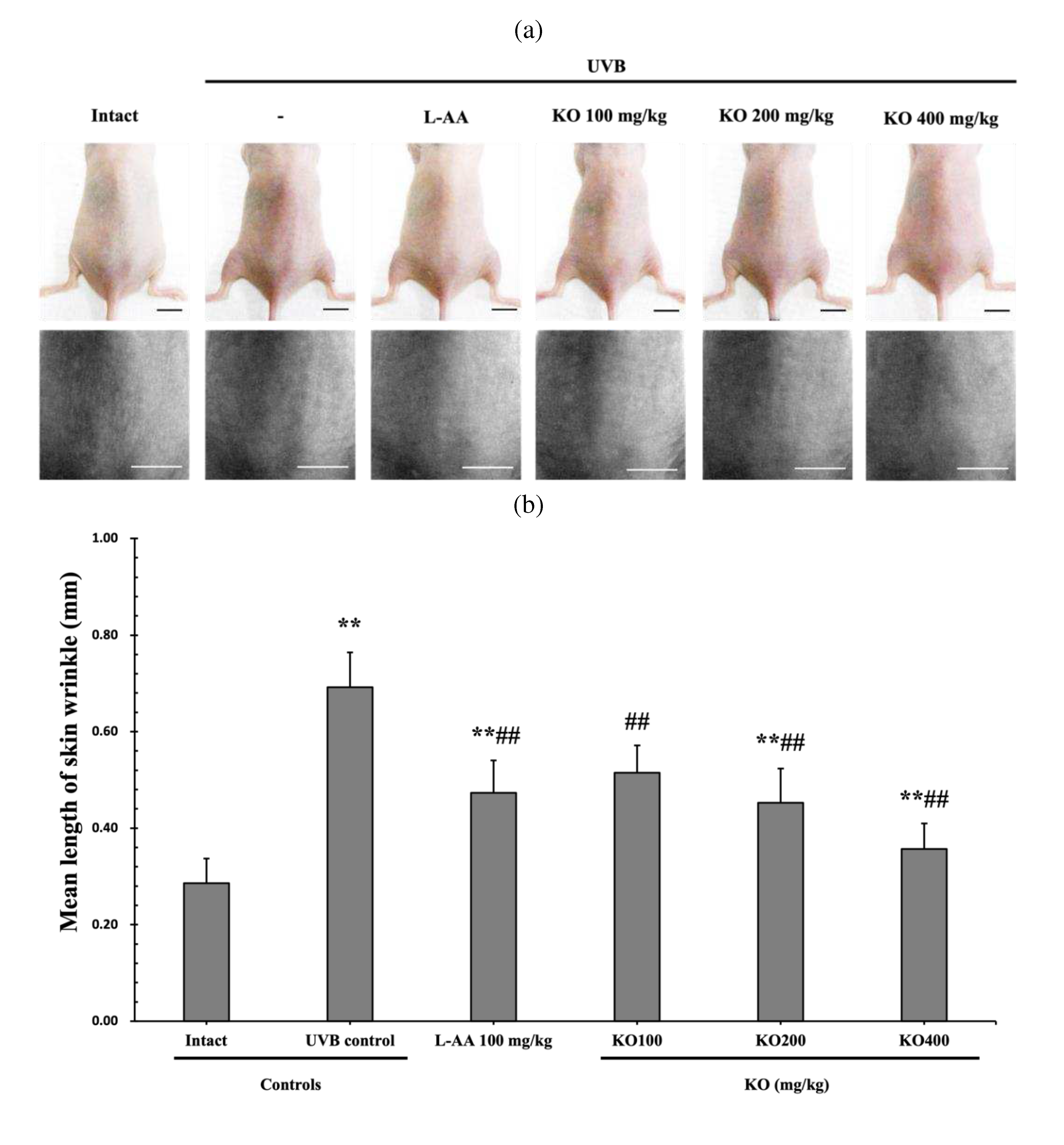 Preprints 81790 g006a