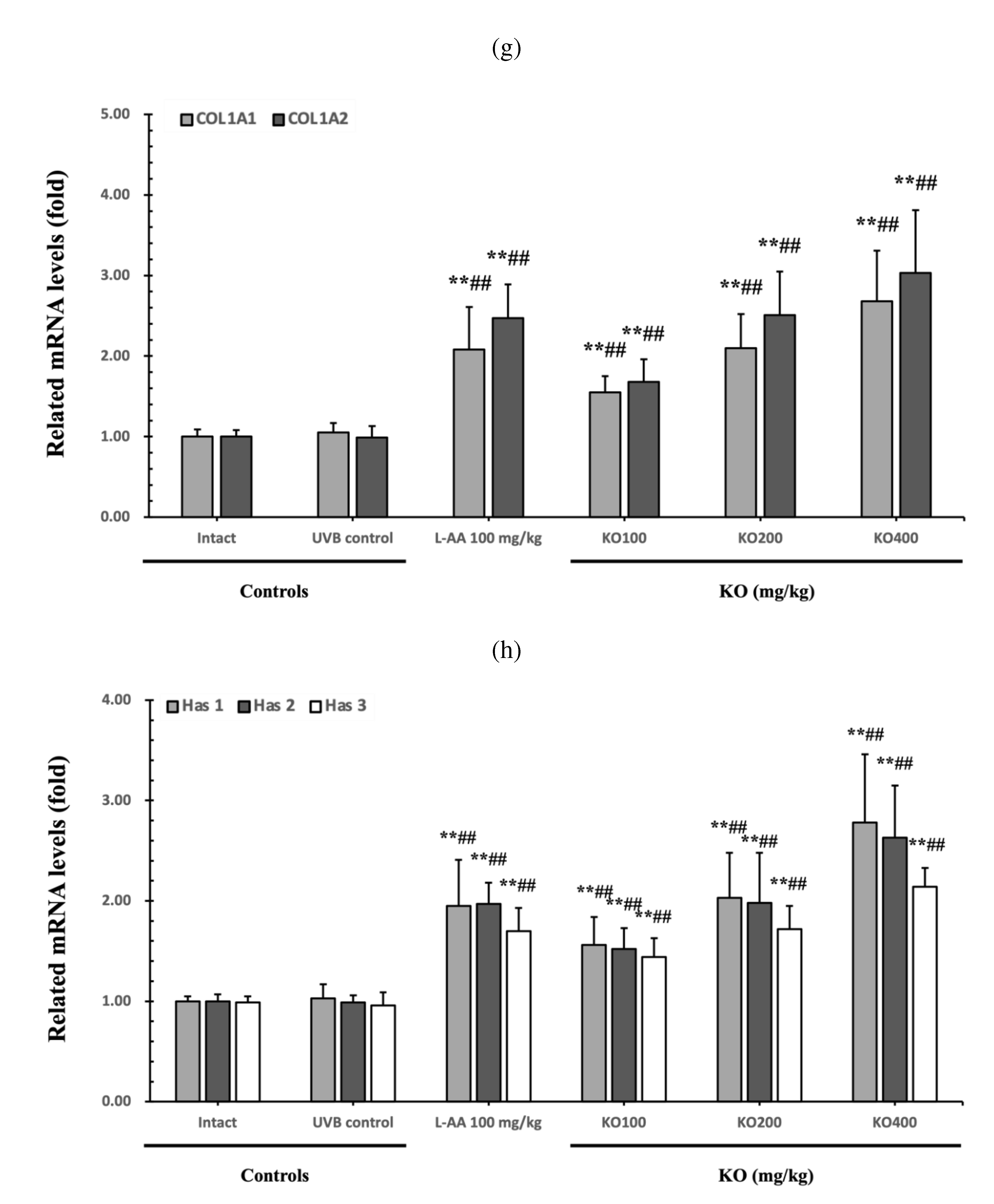 Preprints 81790 g006d