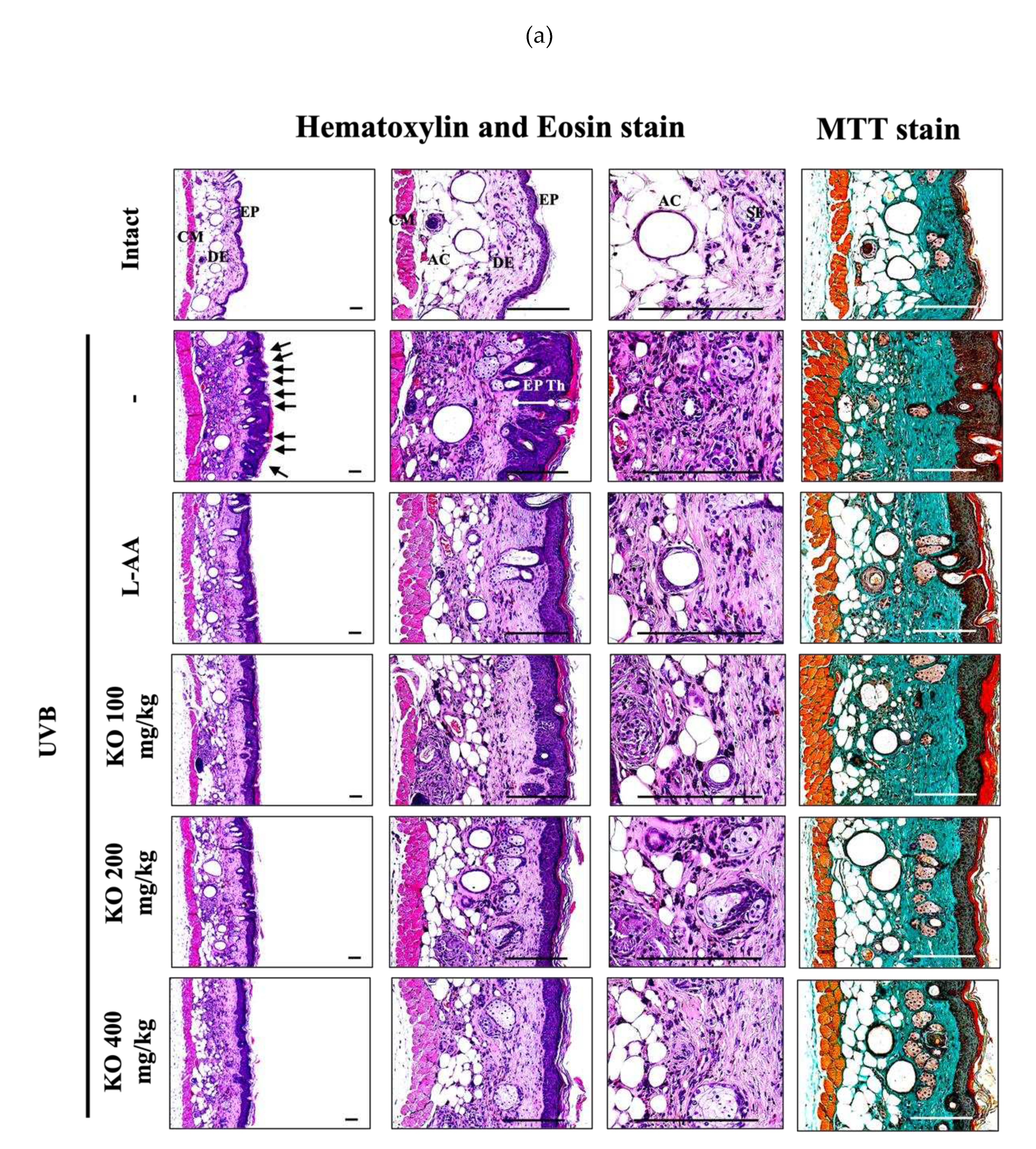 Preprints 81790 g009a