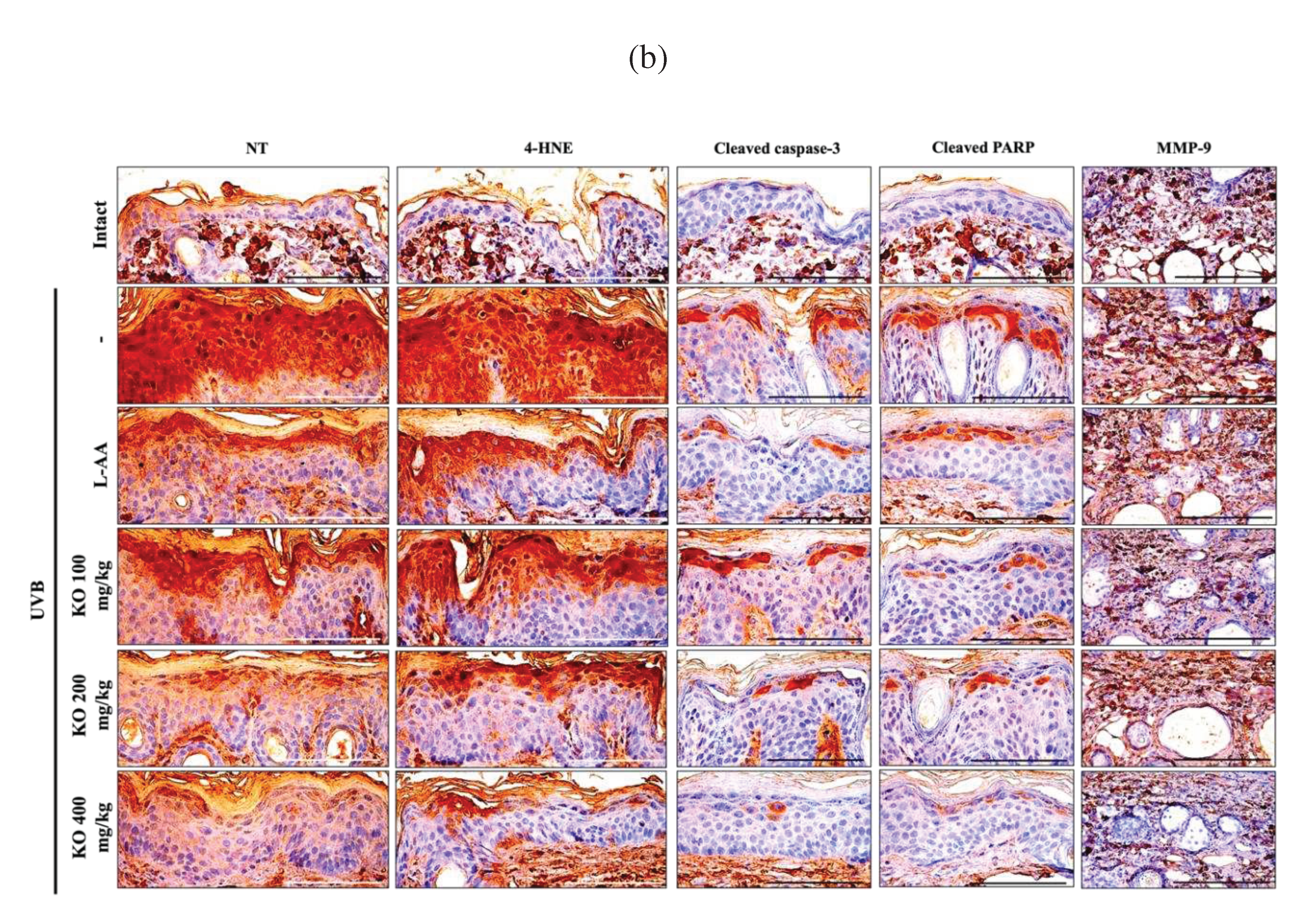 Preprints 81790 g009b