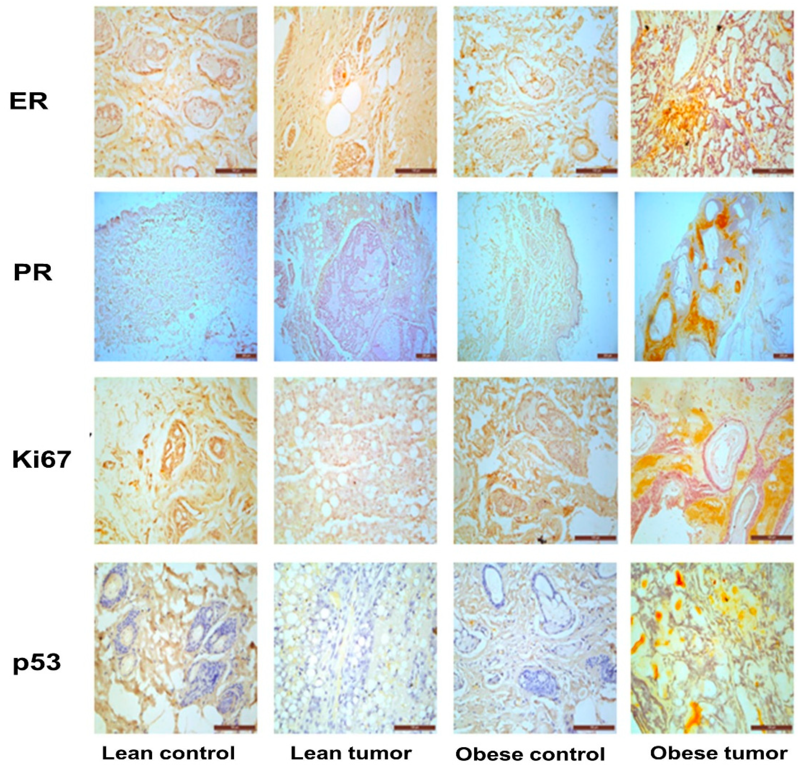 Preprints 73826 g003