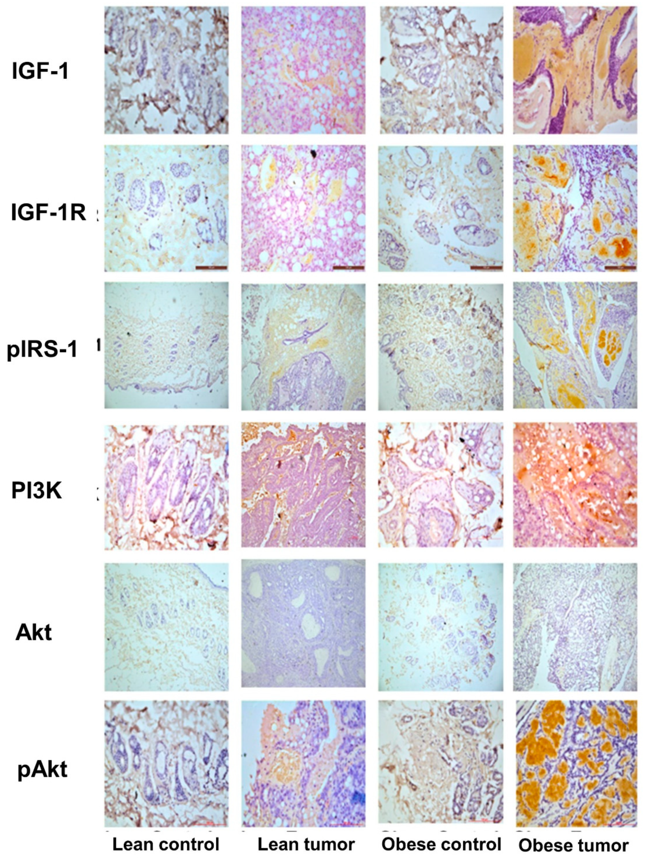 Preprints 73826 g004