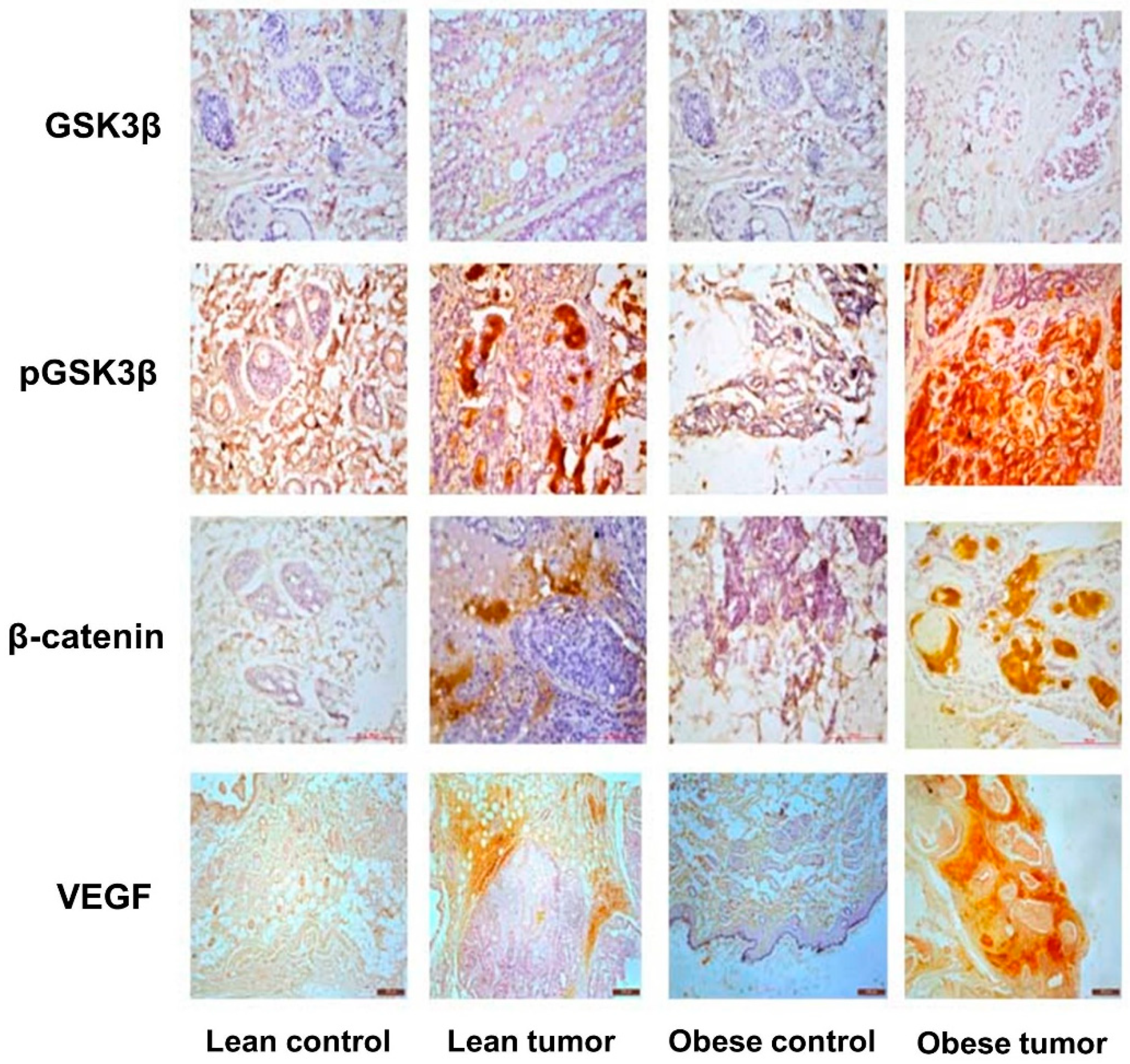 Preprints 73826 g005