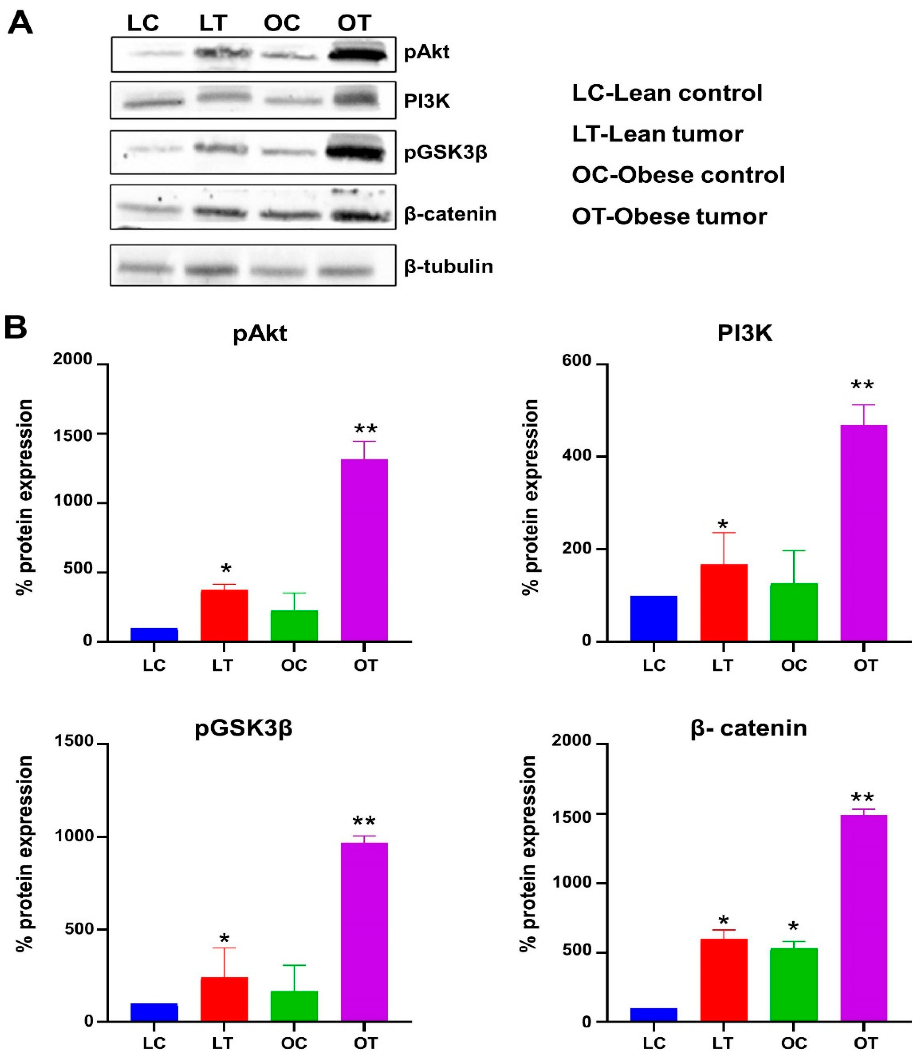 Preprints 73826 g006