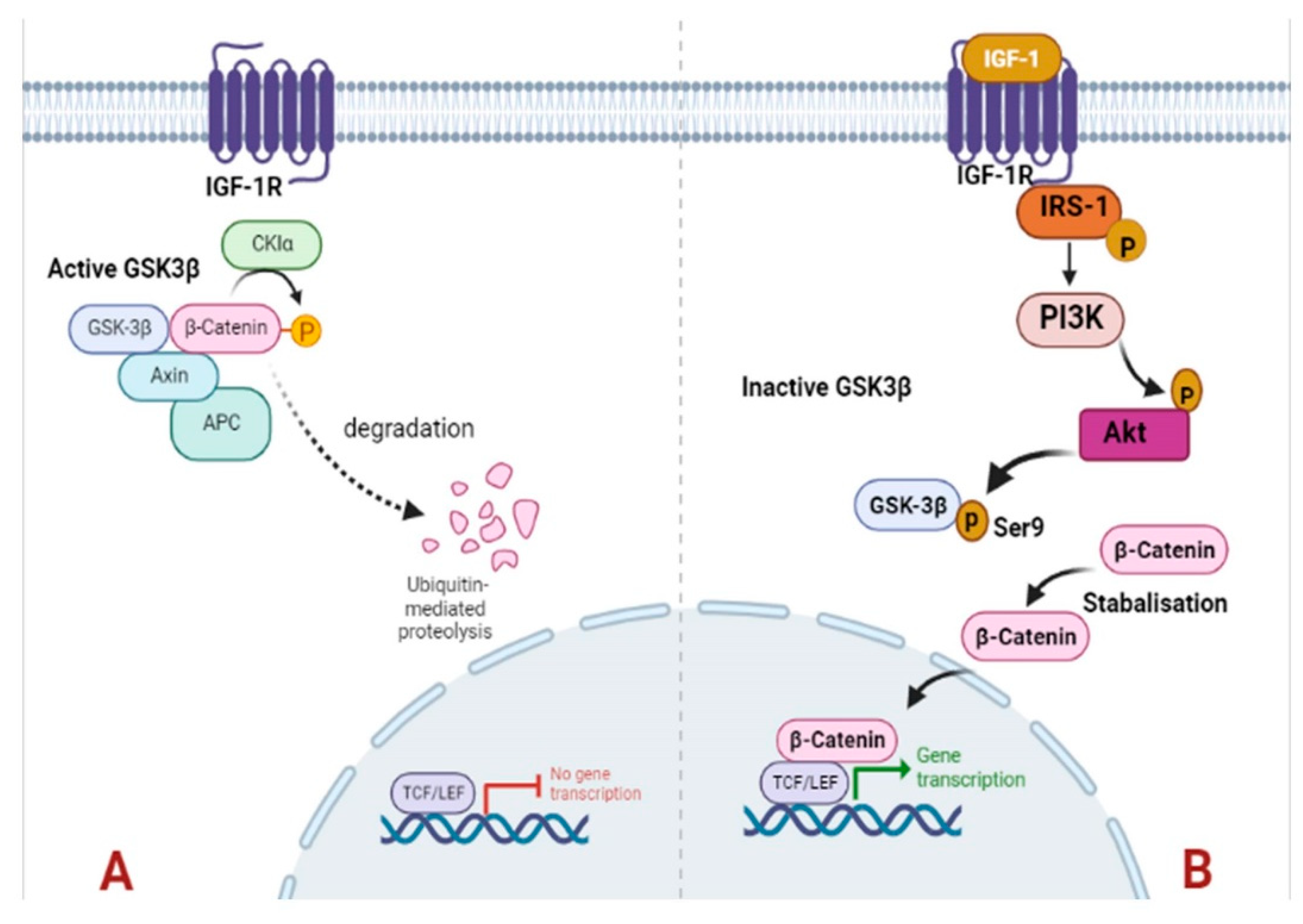 Preprints 73826 g007