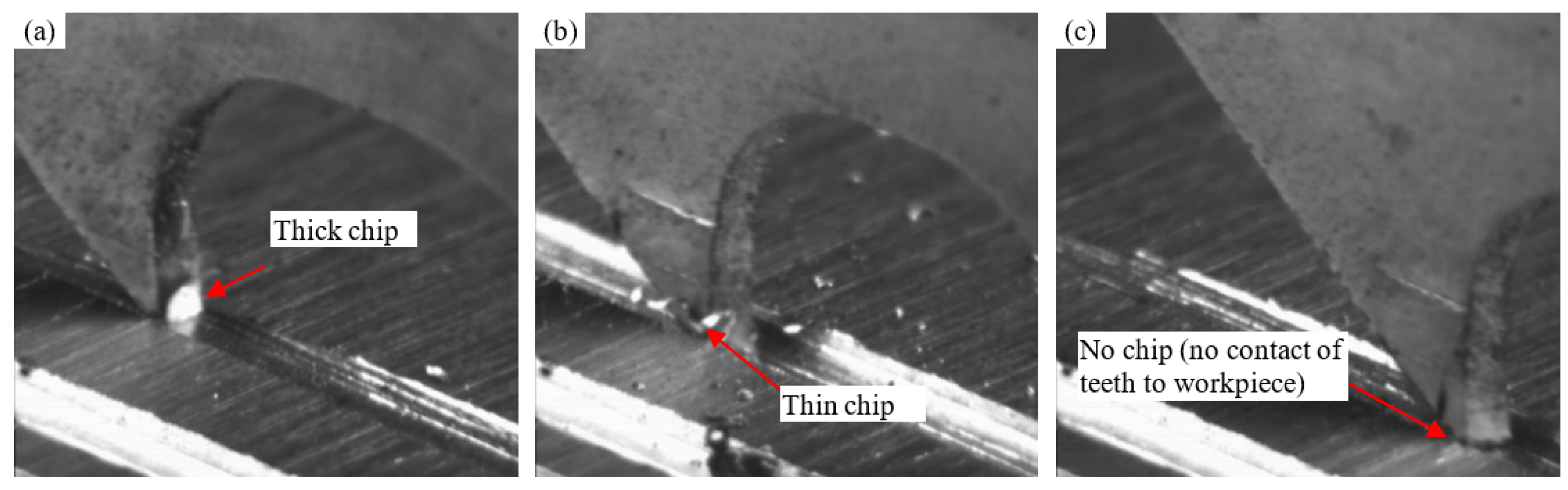 Preprints 91108 g006