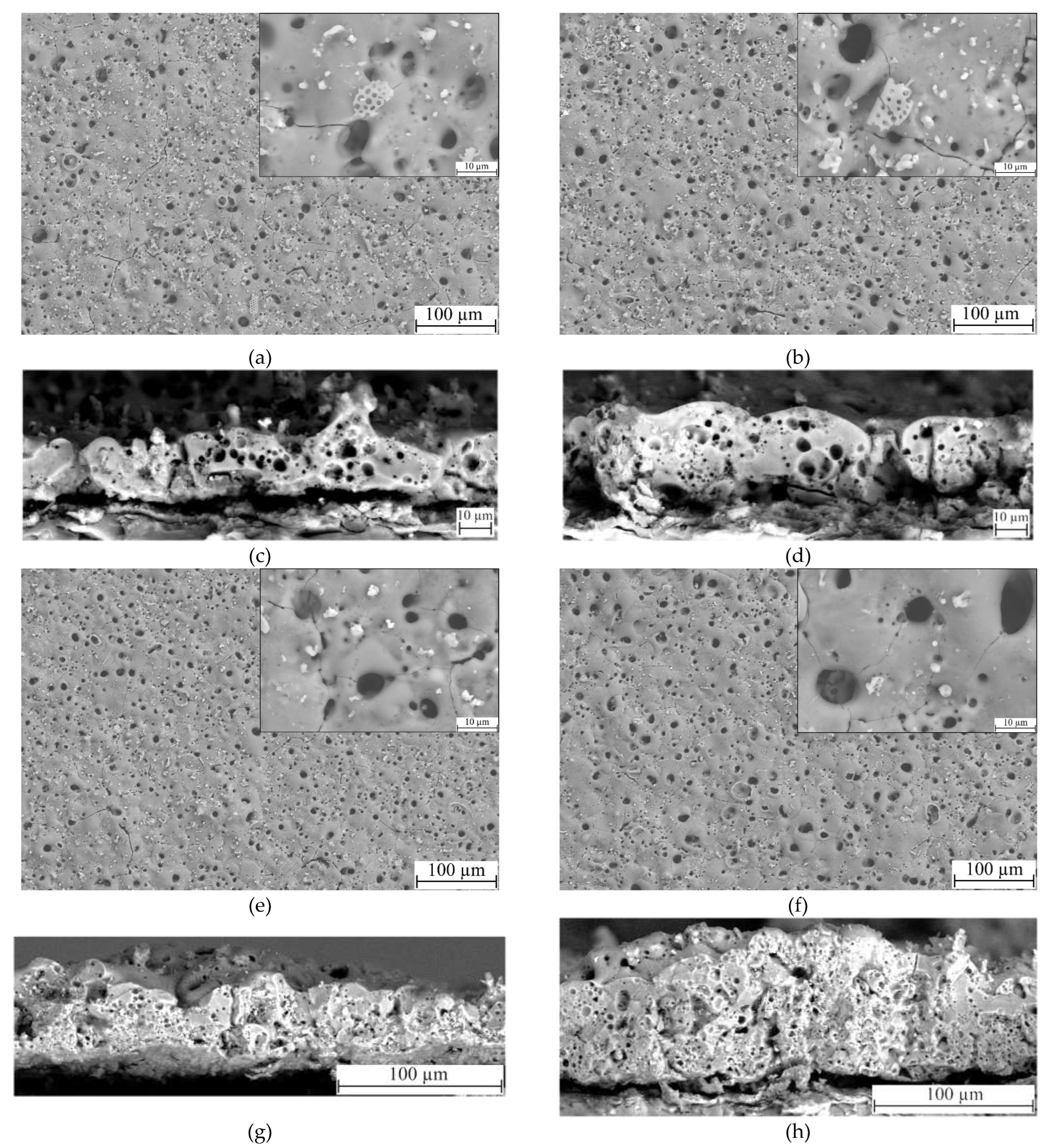 Preprints 75350 g003