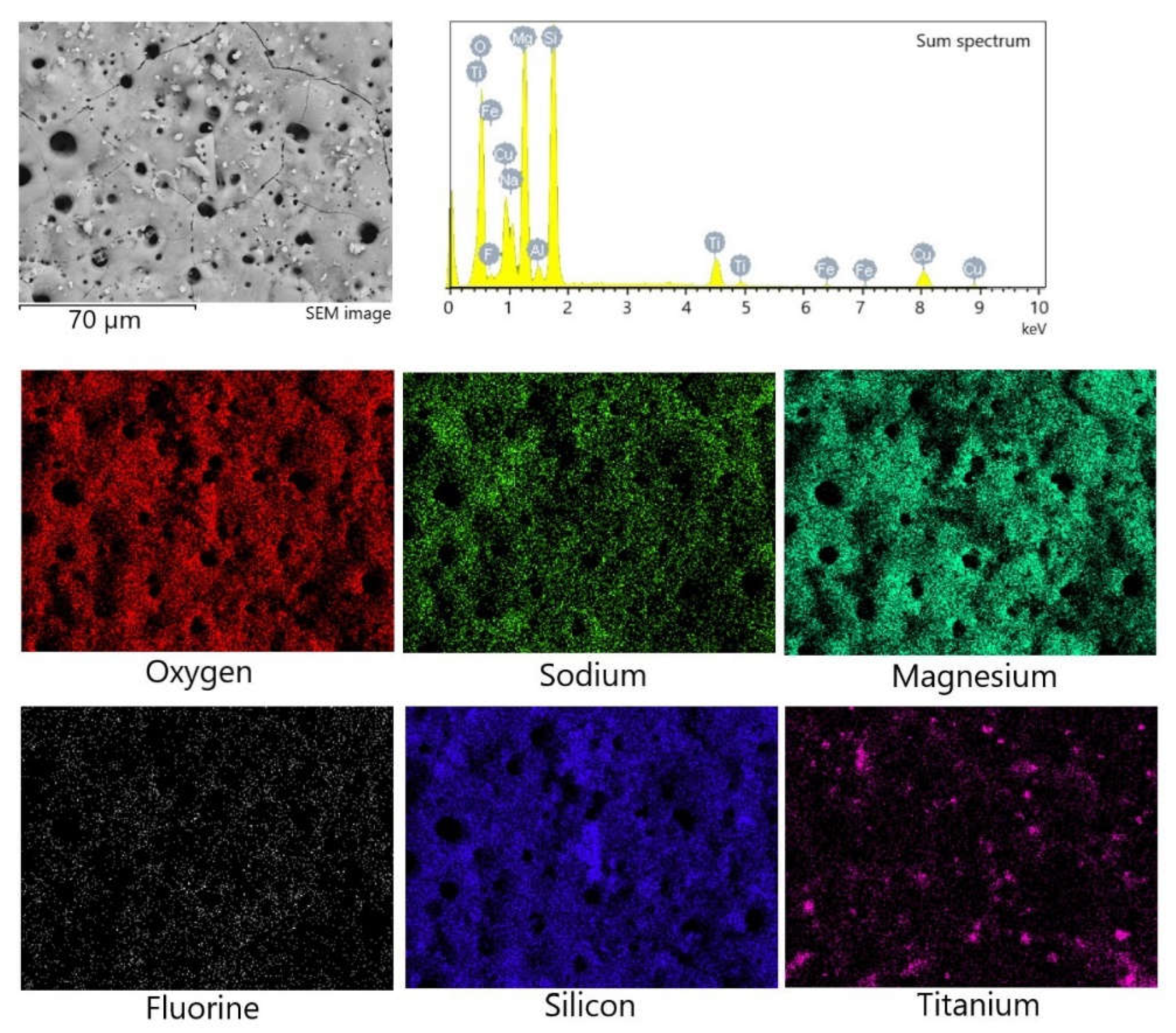 Preprints 75350 g004