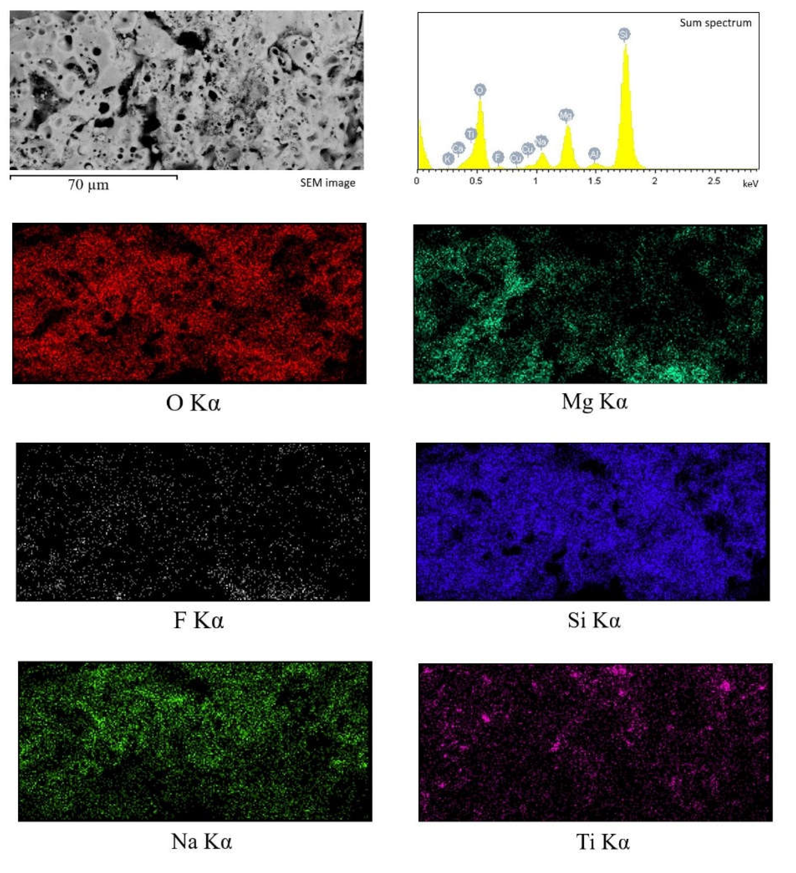 Preprints 75350 g005