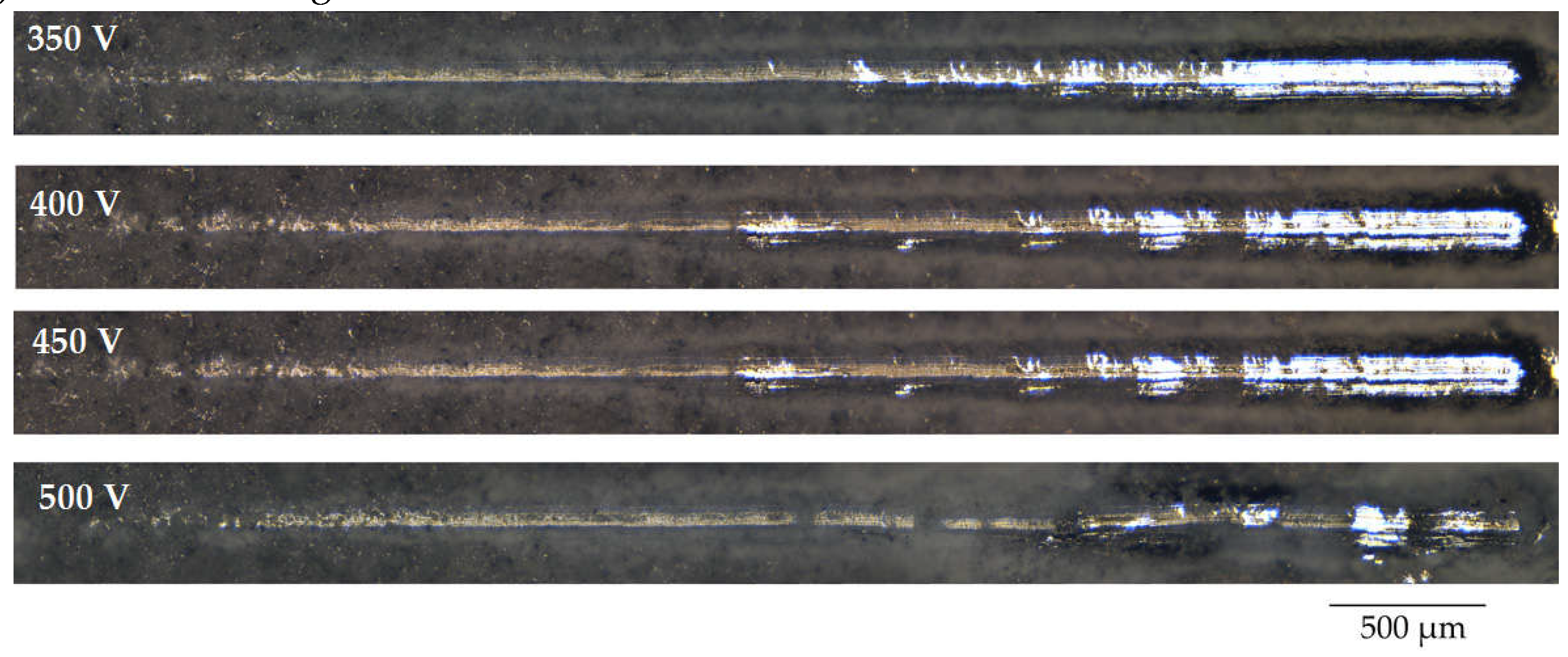 Preprints 75350 g007