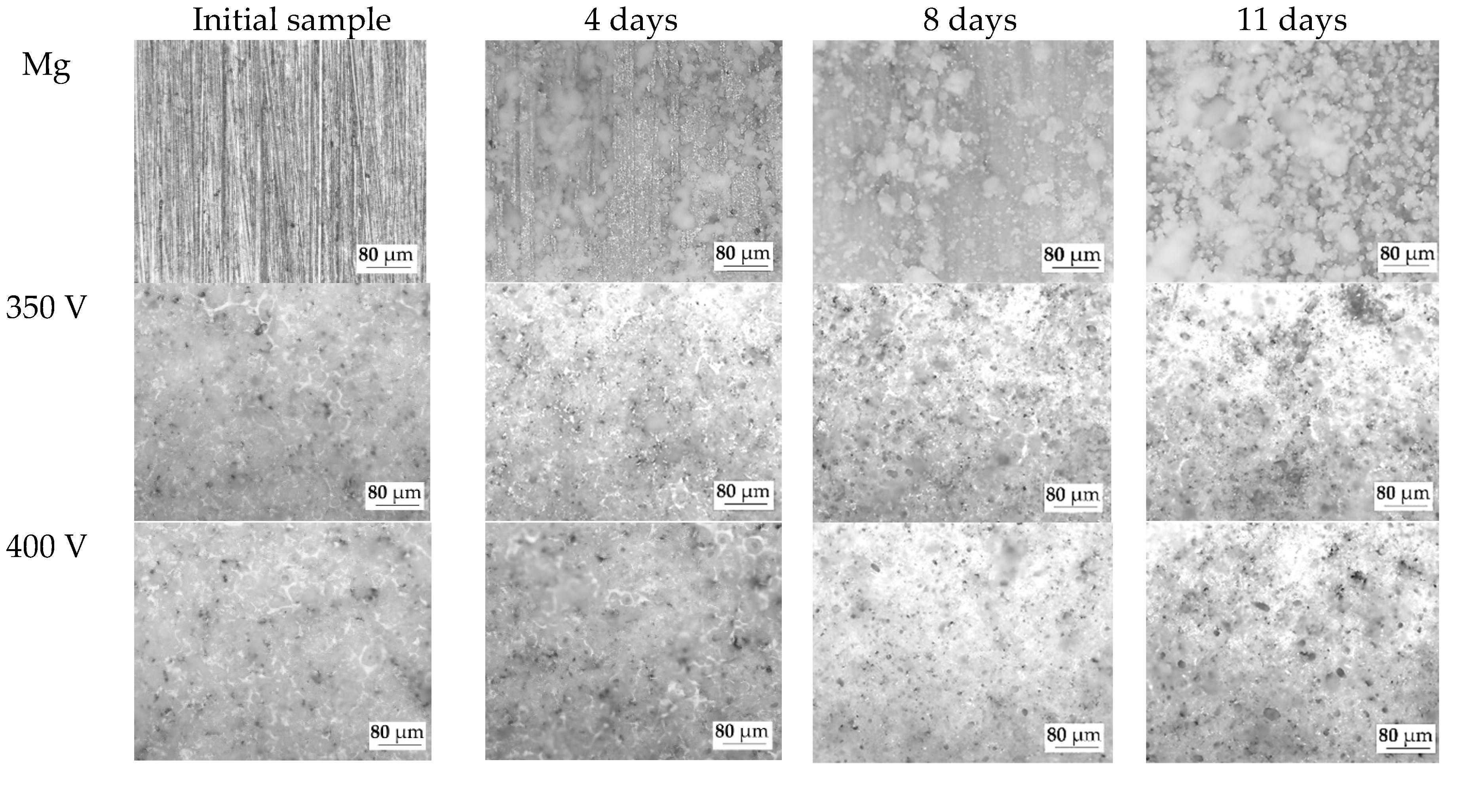 Preprints 75350 g011a