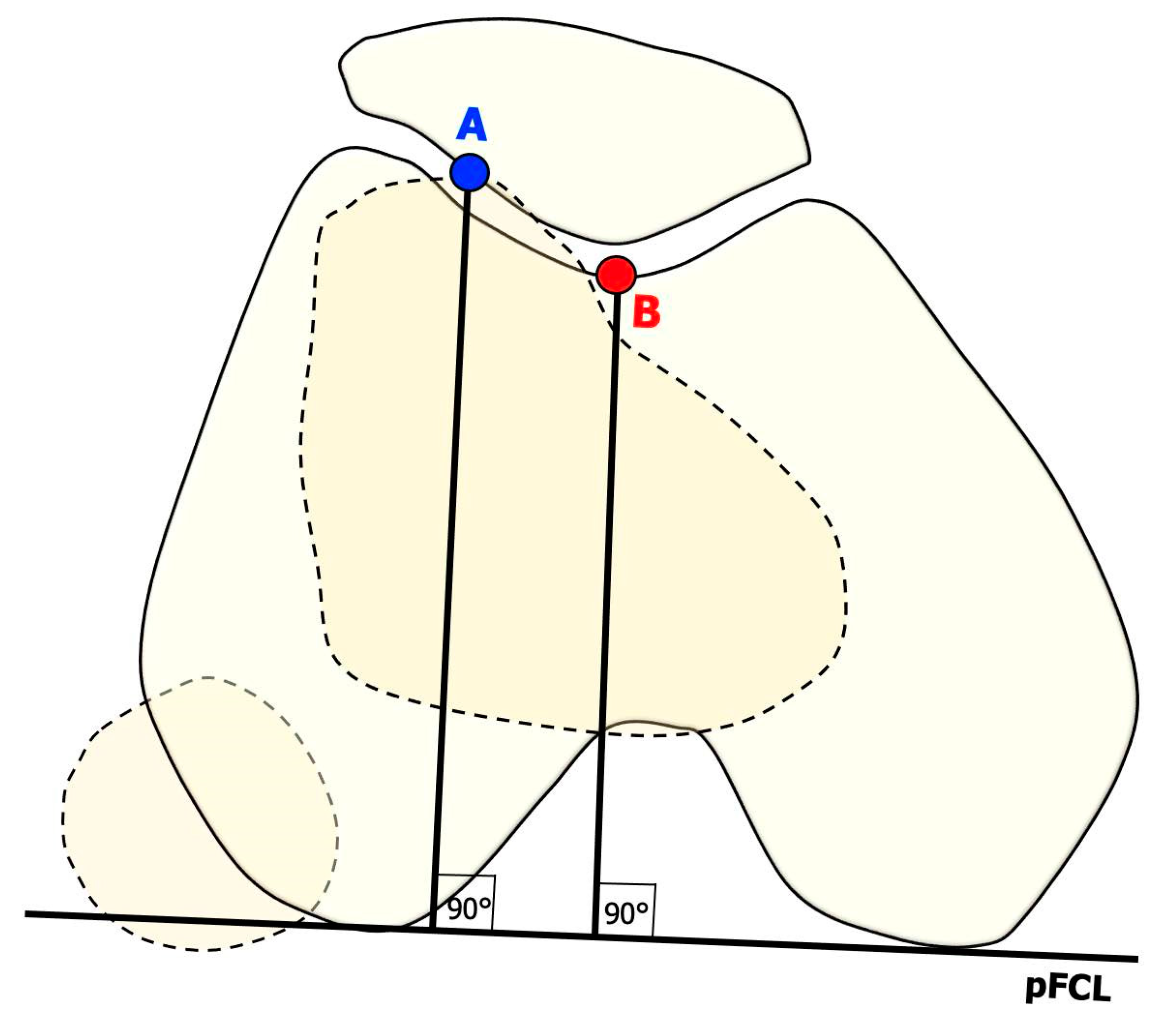 Preprints 77970 g004