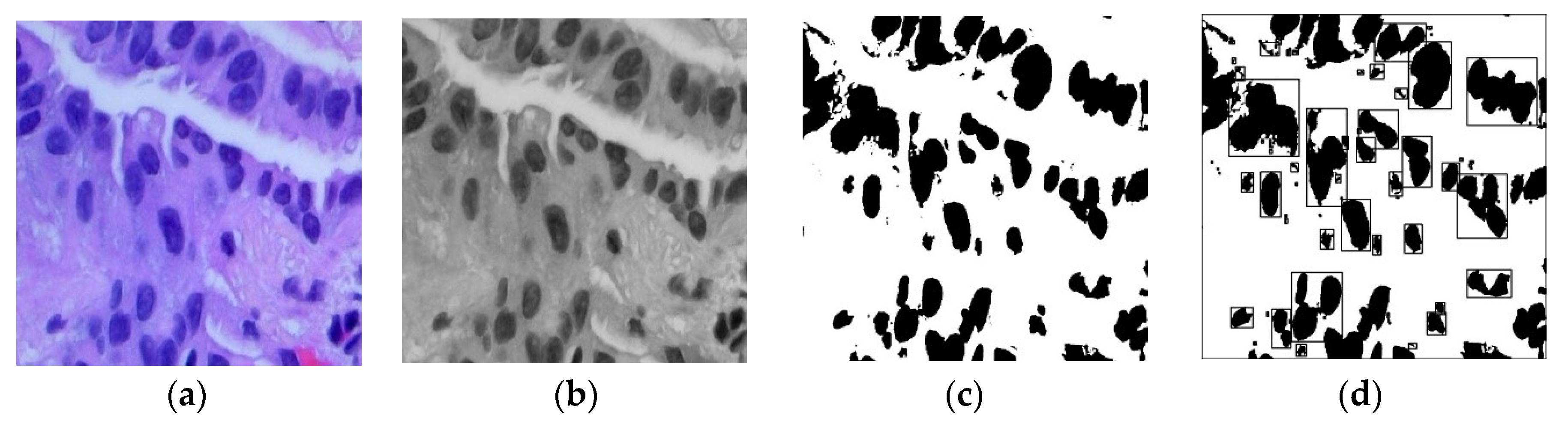 Preprints 83710 g002