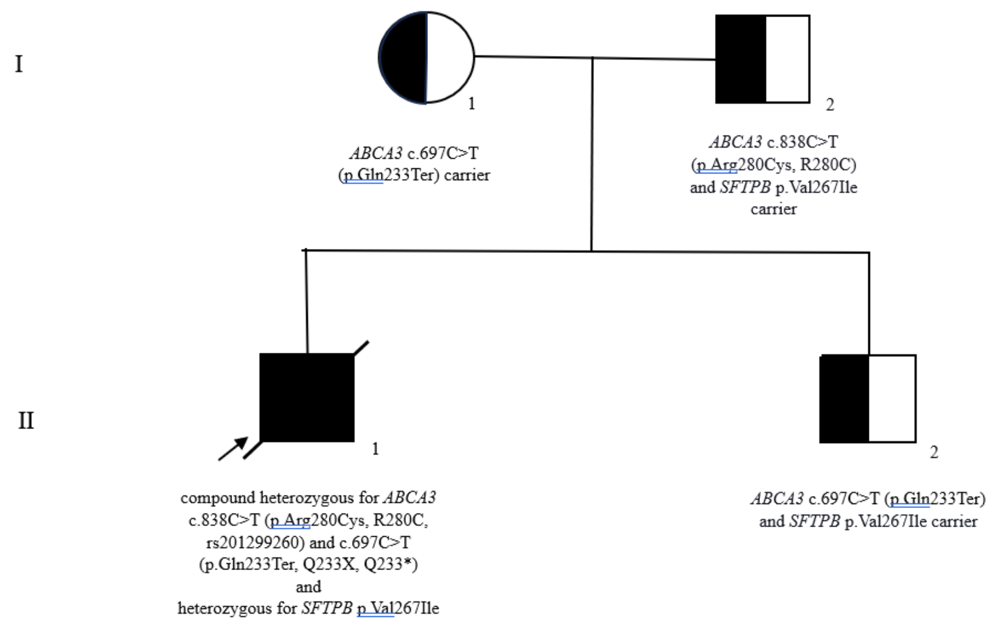 Preprints 115489 g004