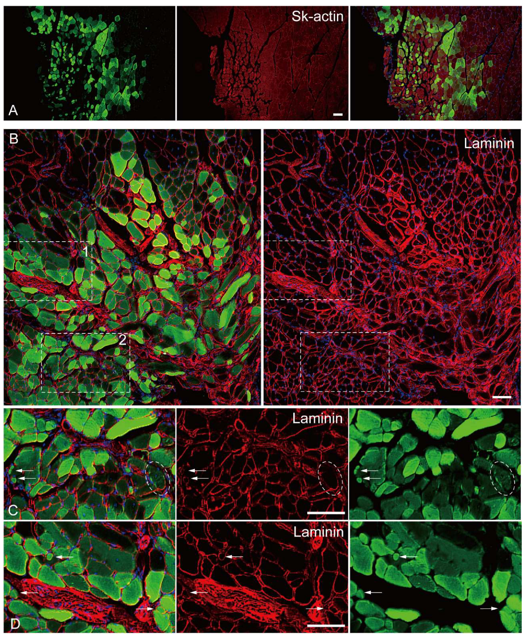 Preprints 73457 g004