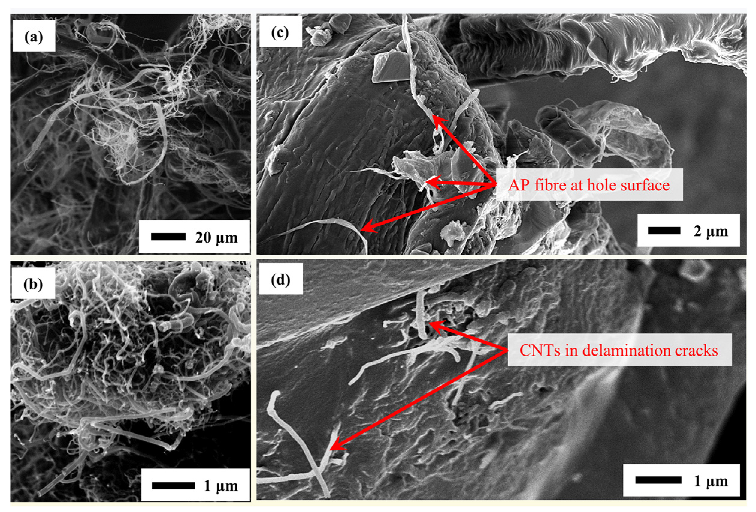 Preprints 88479 g012