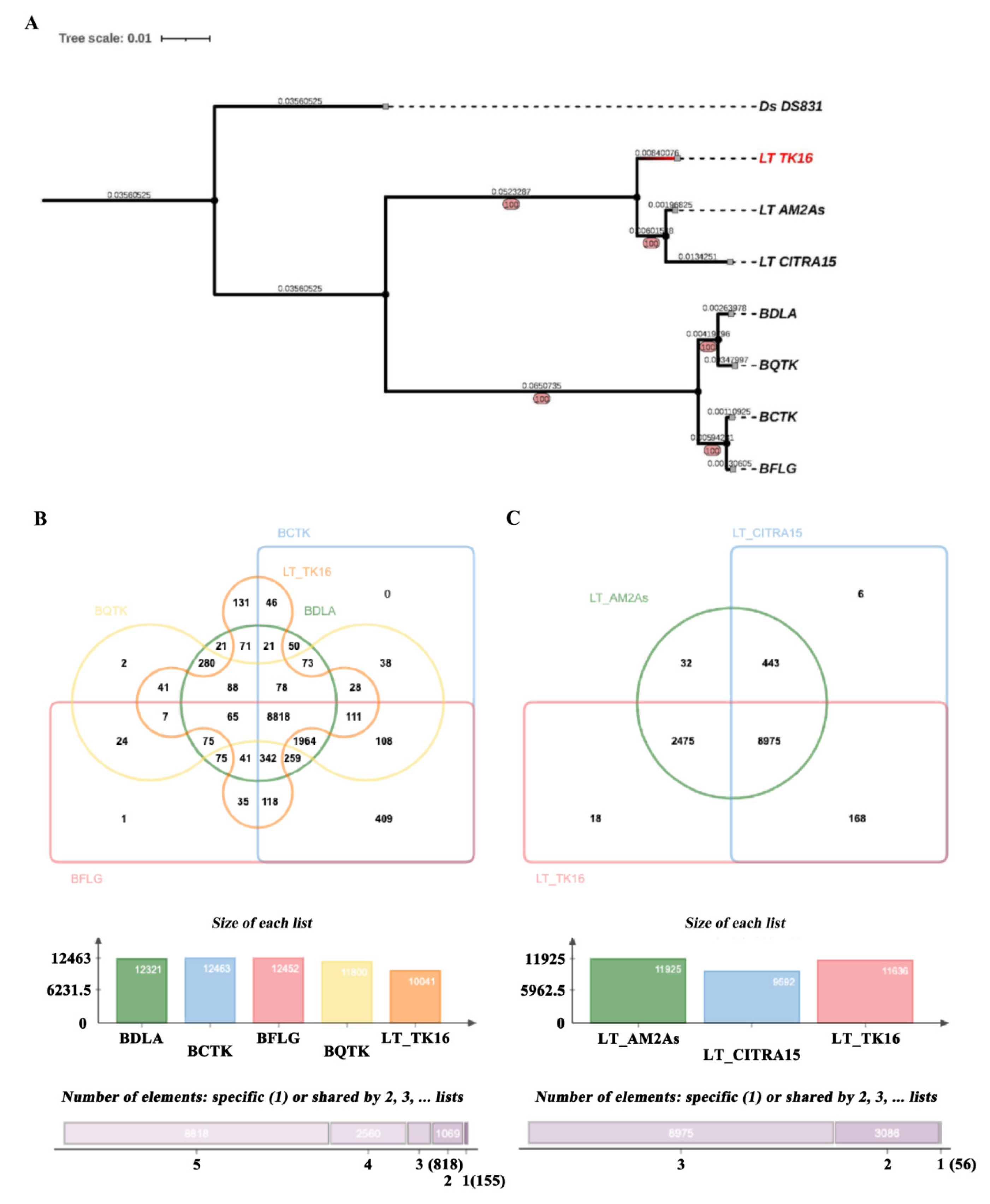 Preprints 78511 g003