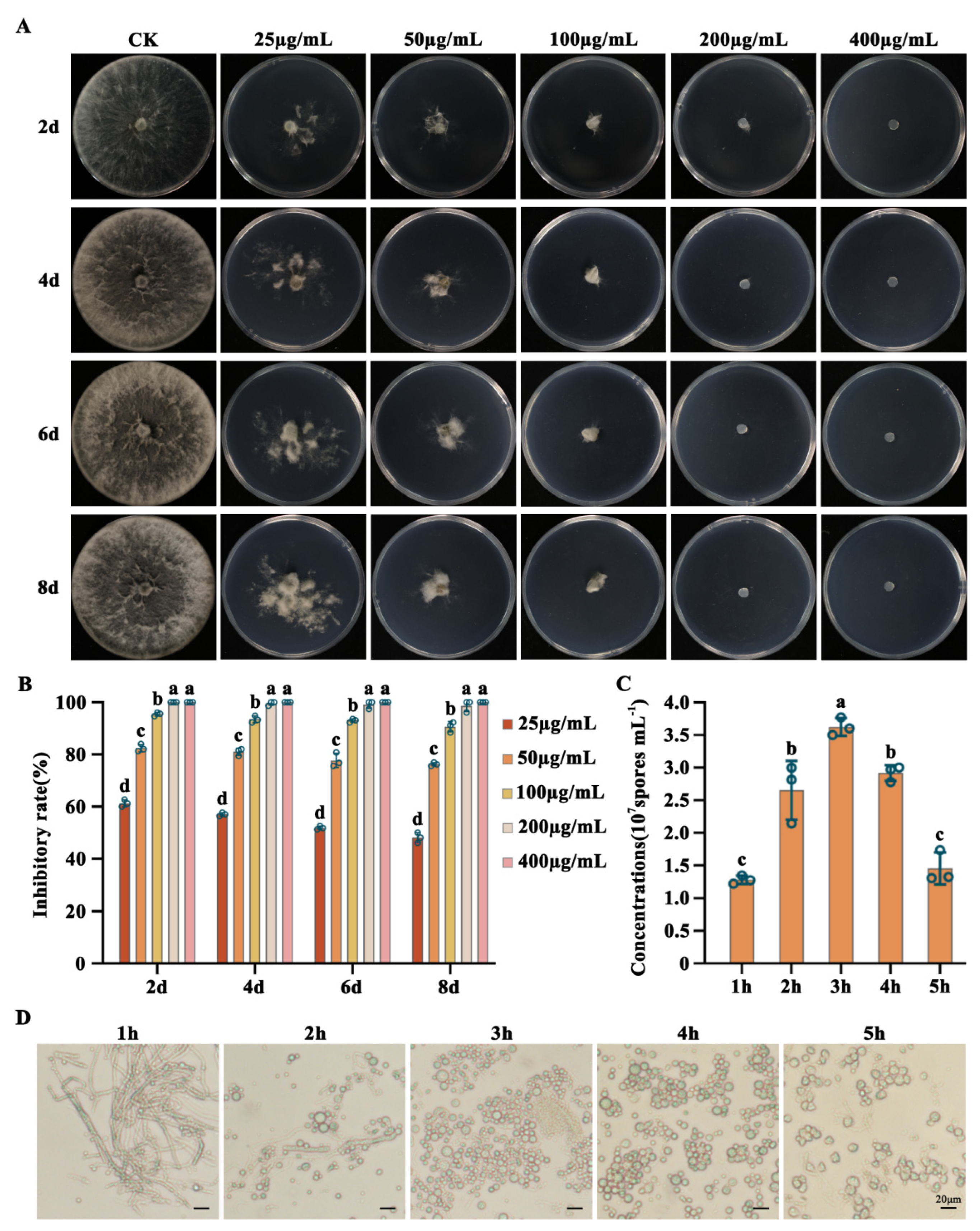 Preprints 78511 g004