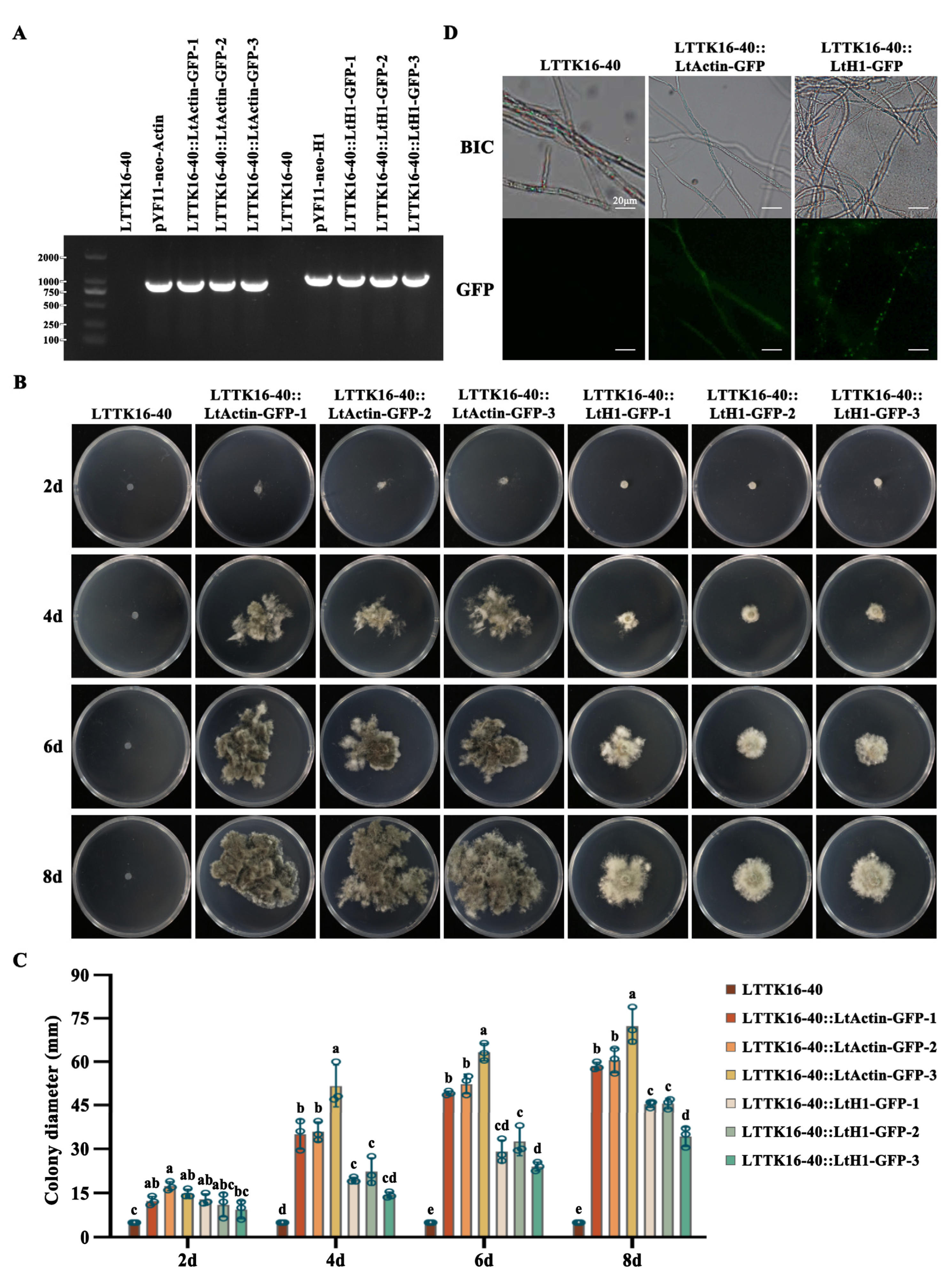 Preprints 78511 g005