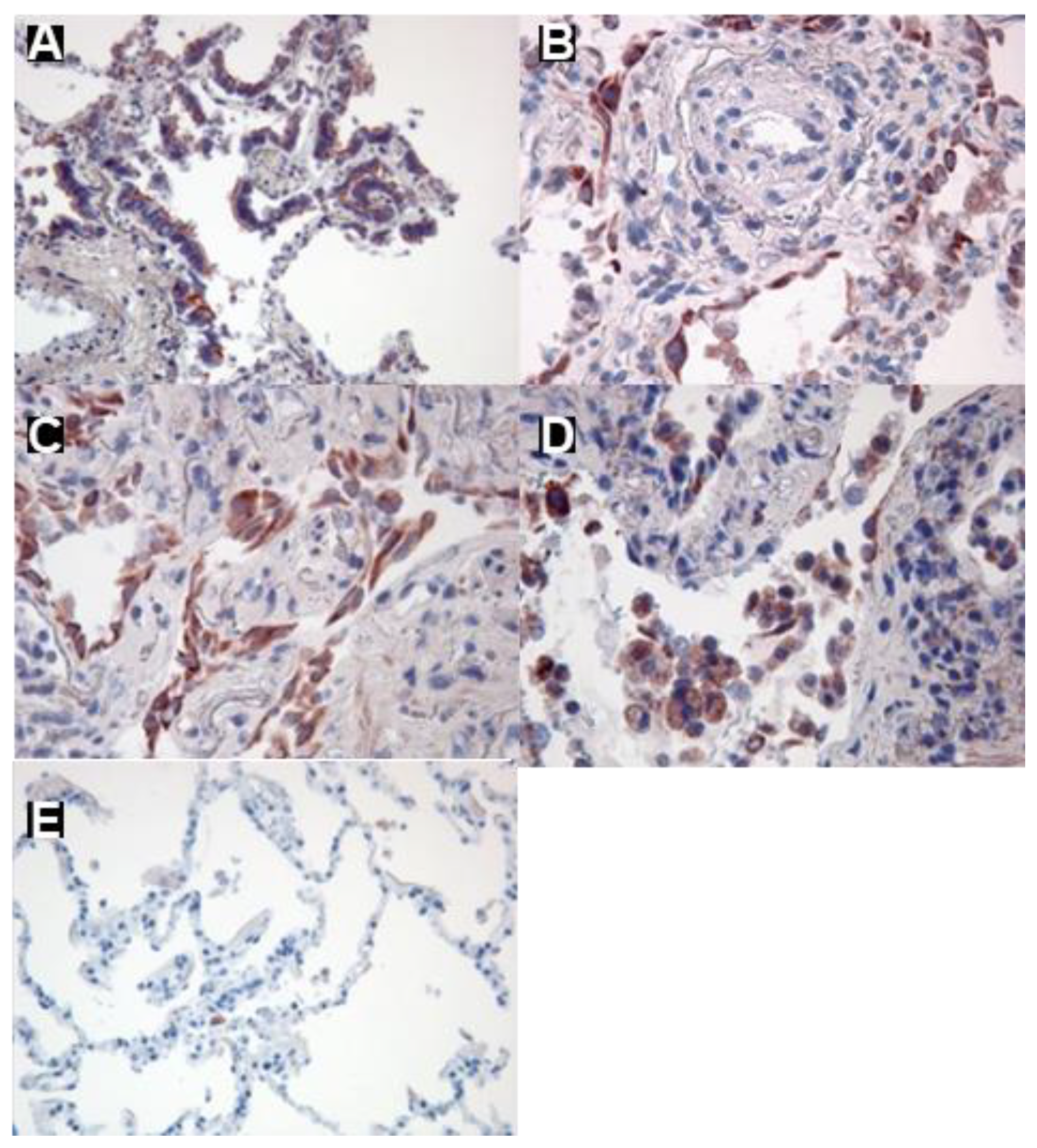 Preprints 93462 g001