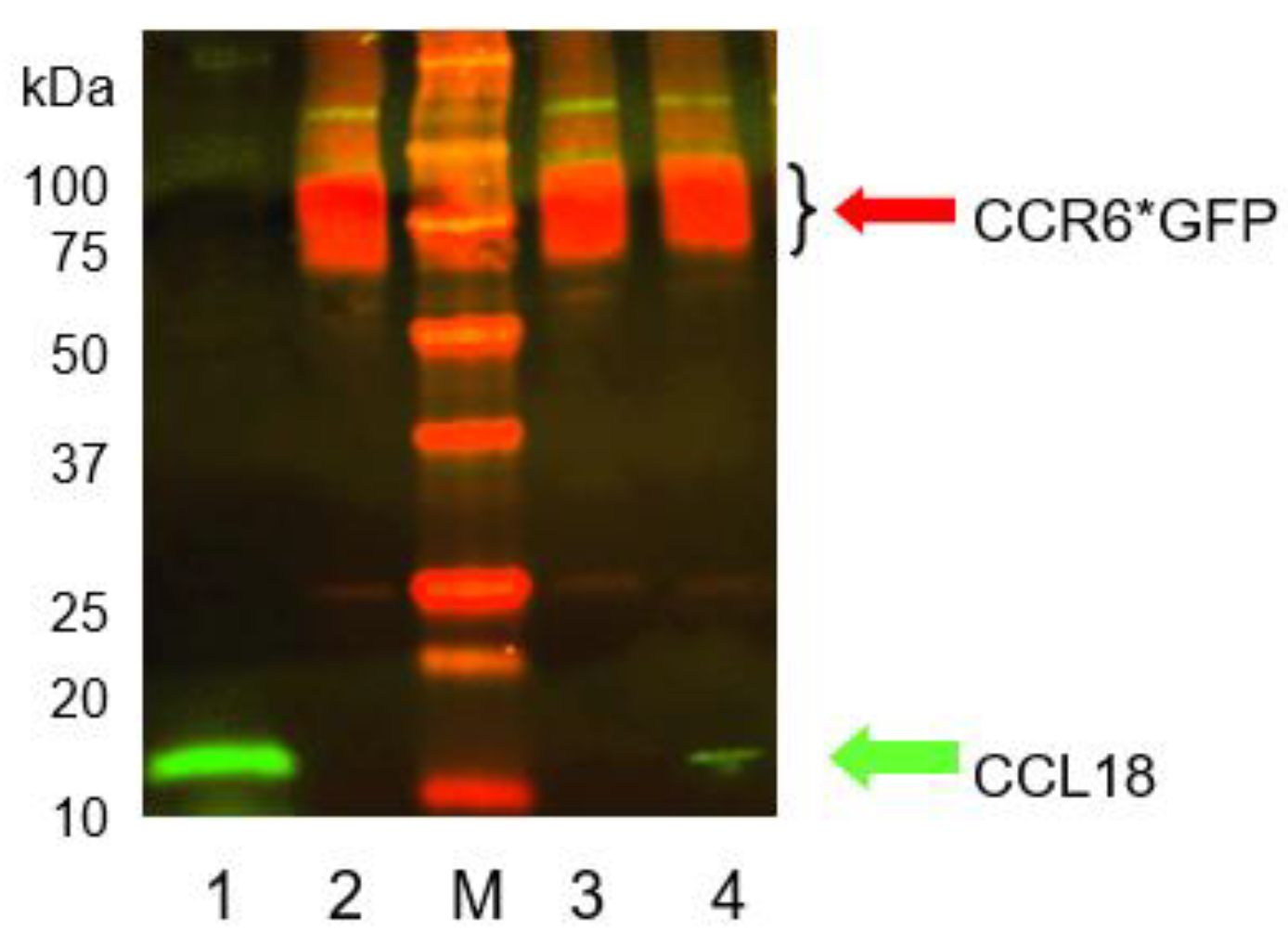 Preprints 93462 g004