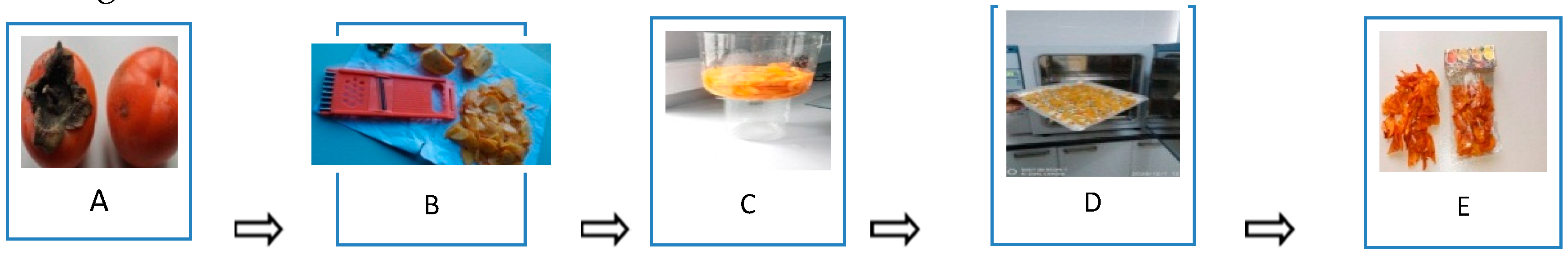 Preprints 85227 g004