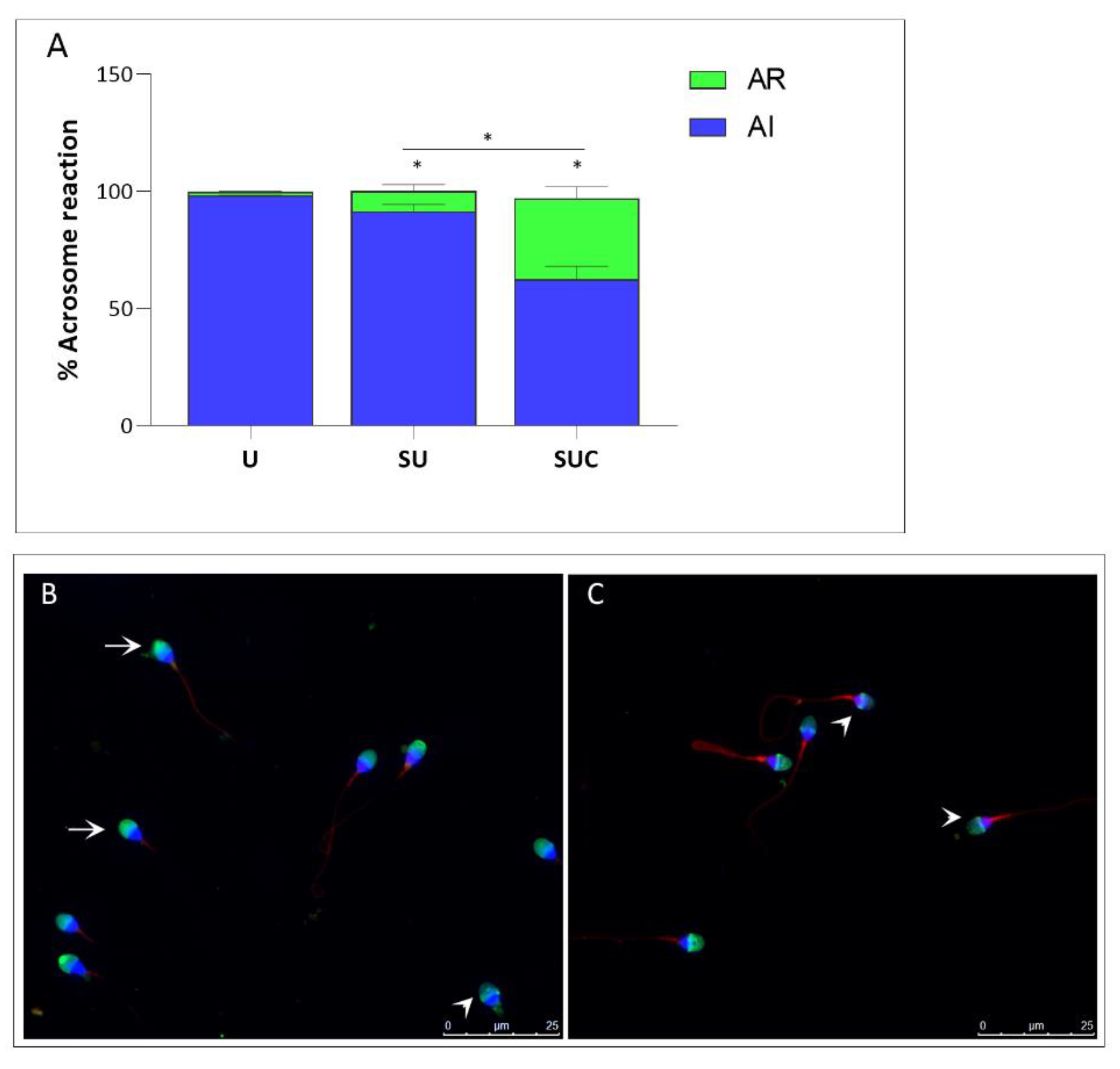 Preprints 83847 g002